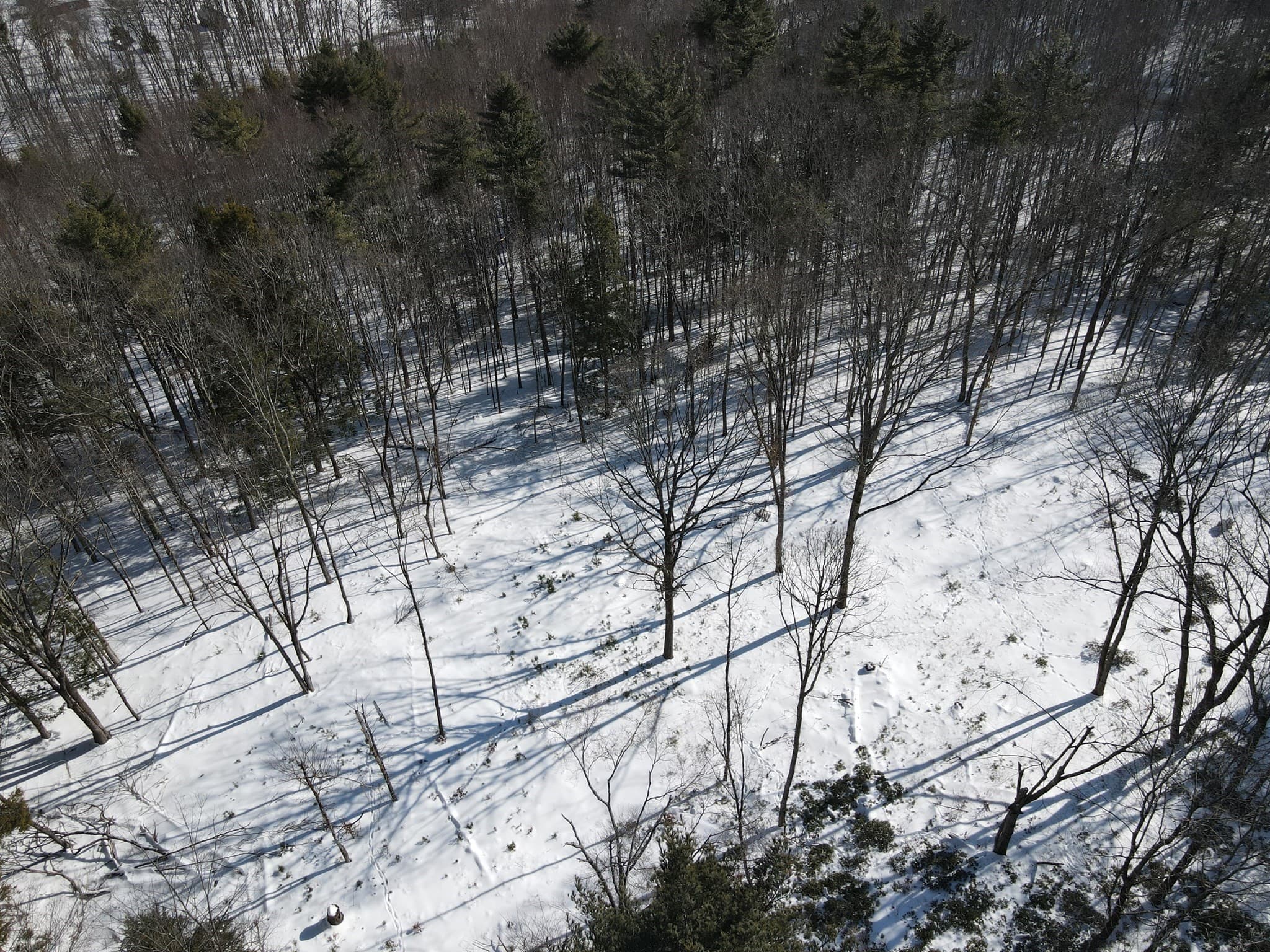 Residential at 0 Fox Hill Rd, Bernardston MA 01337, photo 9 of 18