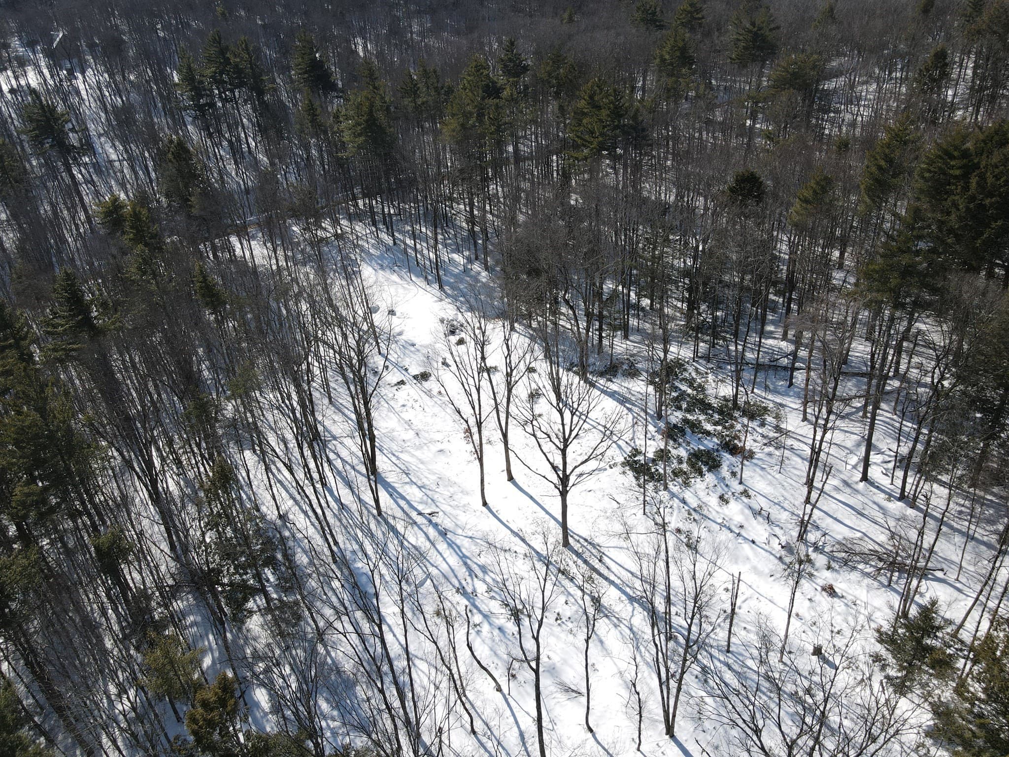 Residential at 0 Fox Hill Rd, Bernardston MA 01337, photo 10 of 18