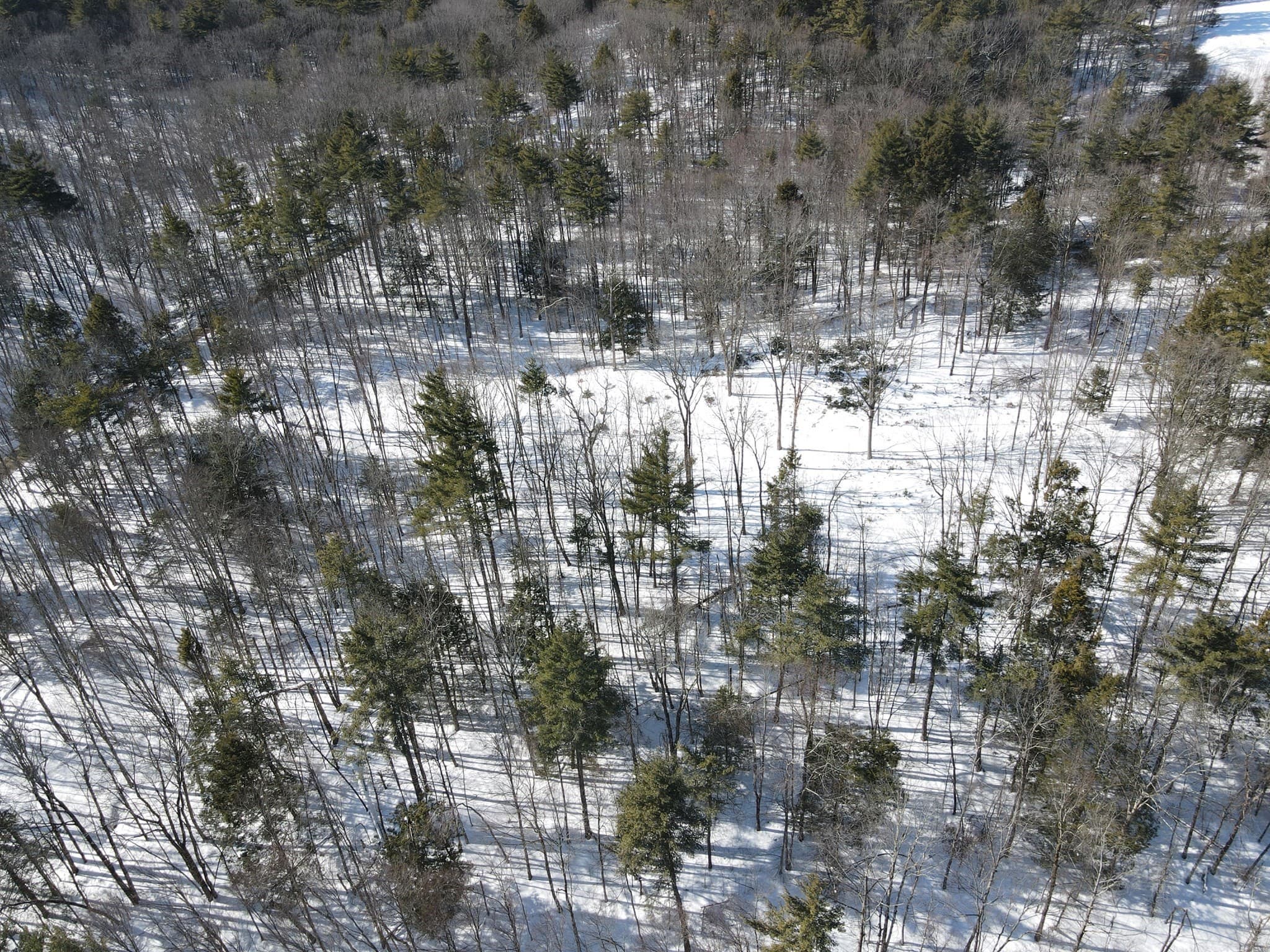 Residential at 0 Fox Hill Rd, Bernardston MA 01337, photo 14 of 18