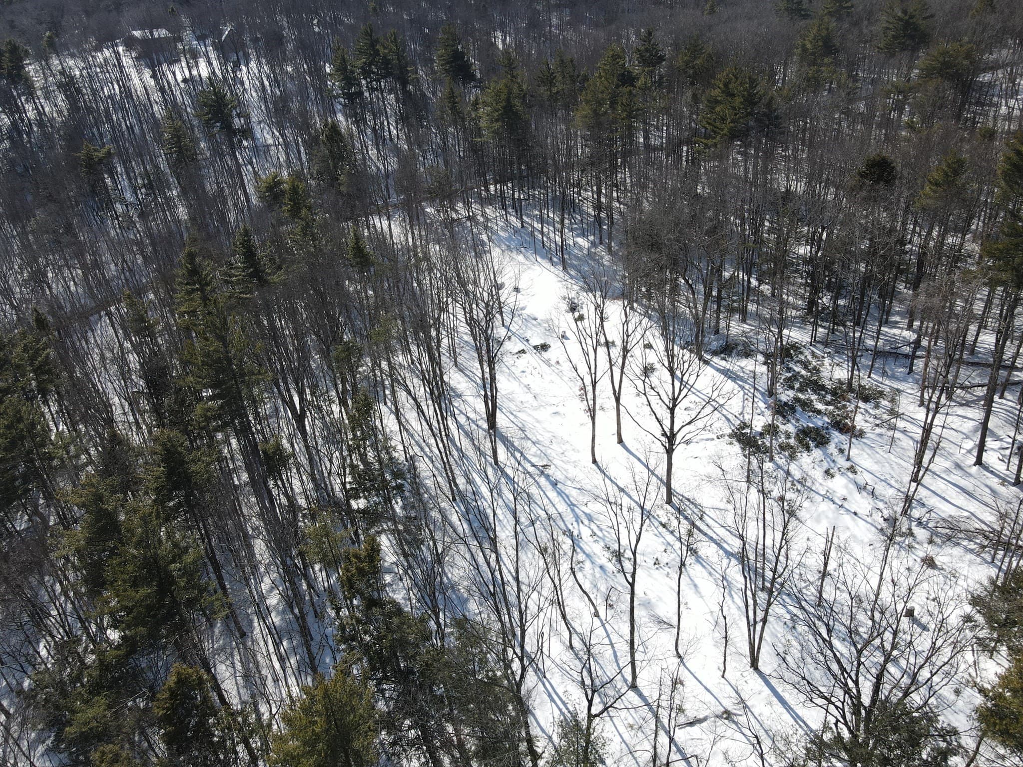 Residential at 0 Fox Hill Rd, Bernardston MA 01337, photo 11 of 18