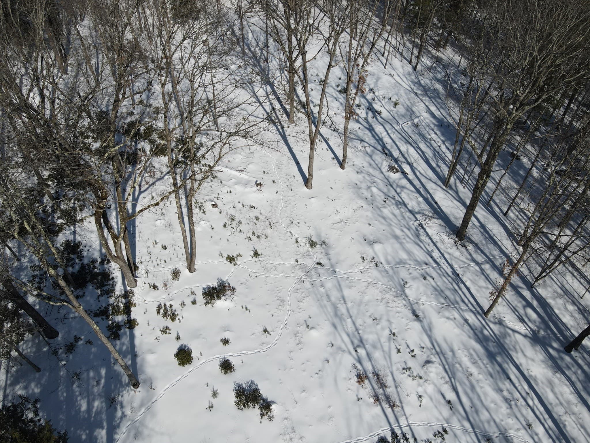 Residential at 0 Fox Hill Rd, Bernardston MA 01337, photo 4 of 18