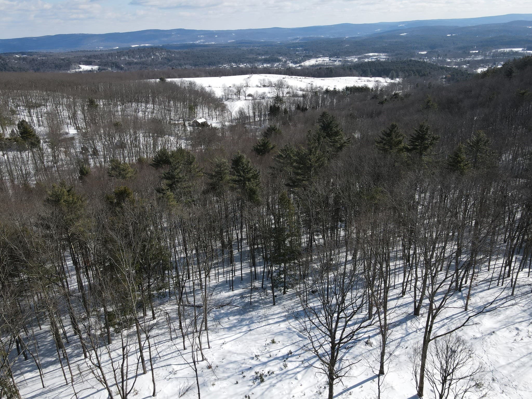 Residential at 0 Fox Hill Rd, Bernardston MA 01337, photo 8 of 18