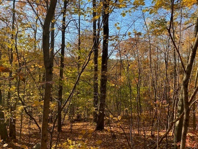 Residential at 539 Fox Hill Road, Bernardston MA 01337, photo 2 of 4