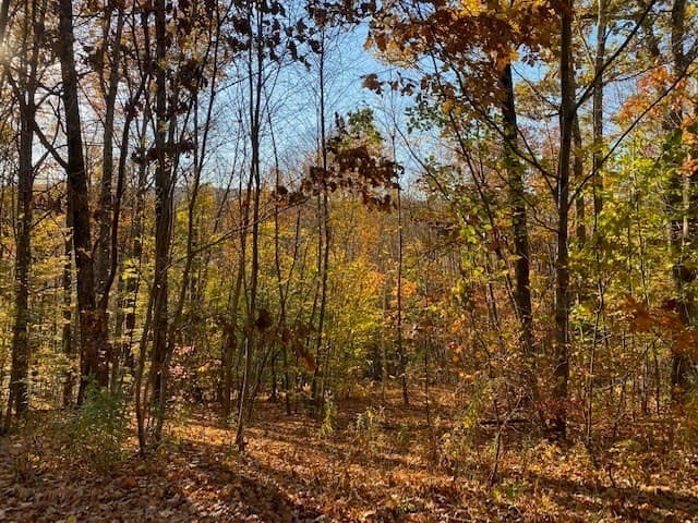 539 Fox Hill Road, Bernardston MA 01337