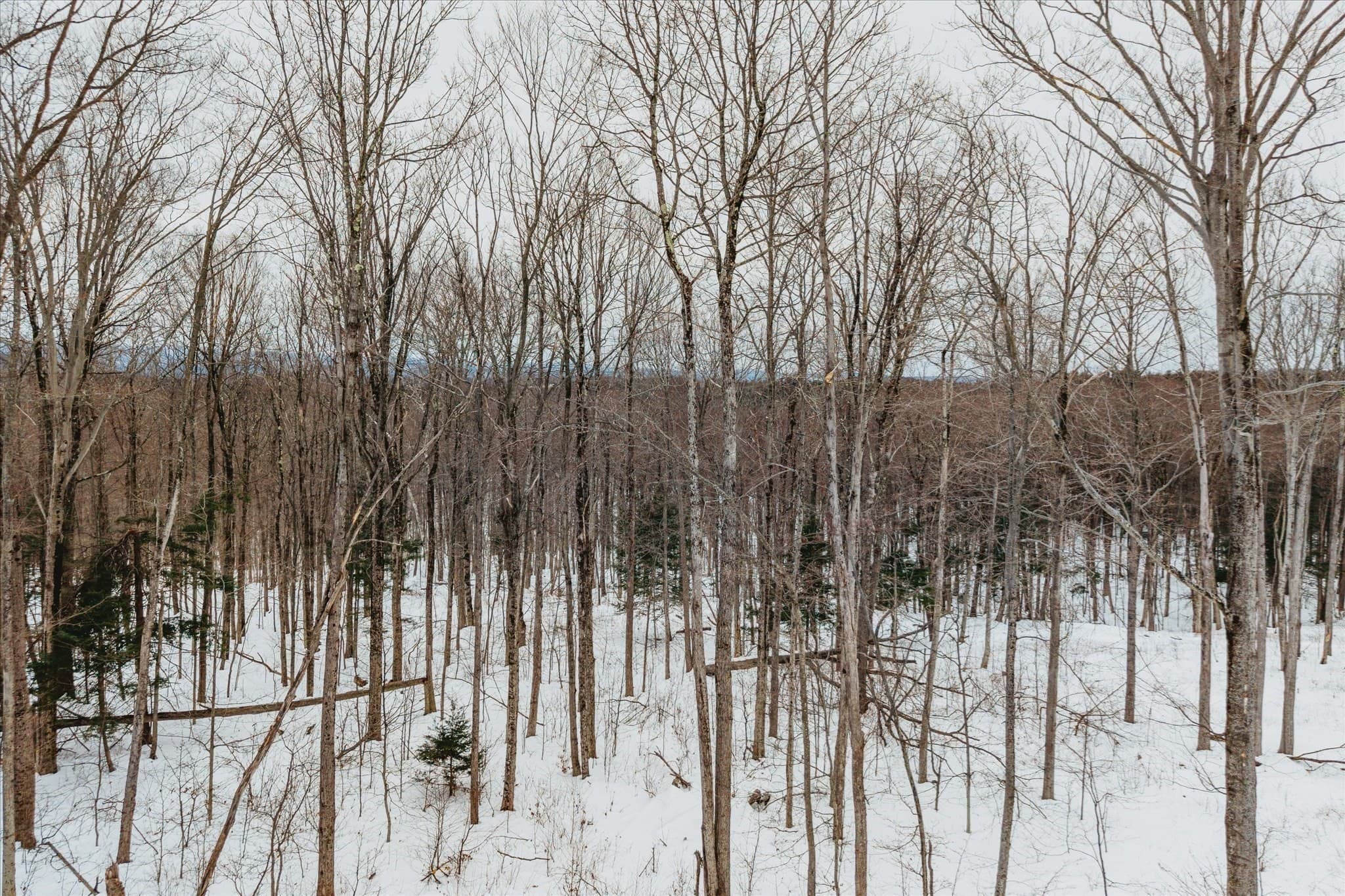 Residential at 0 Blueberry Hill Rd (Lot 6), Westhampton MA 01027, photo 11 of 13