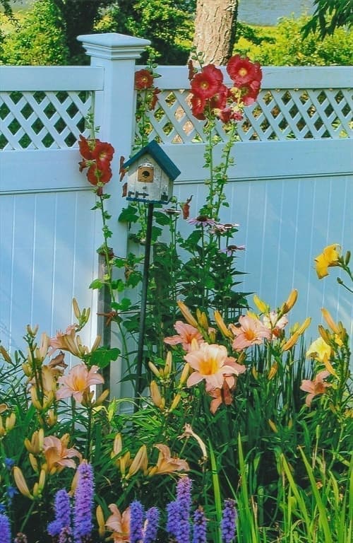 Single Family Residence at 41 Court St, Chatham MA 02650, Chatham, photo 33 of 38