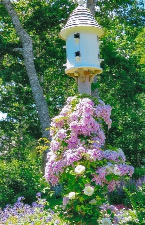 Single Family Residence at 41 Court St, Chatham MA 02650, Chatham, photo 35 of 38