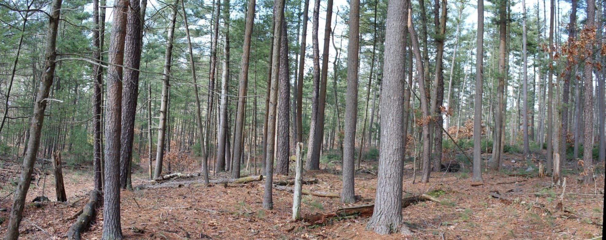 Residential at Lot 14 Center Street, Palmer MA 01069, photo 23 of 25