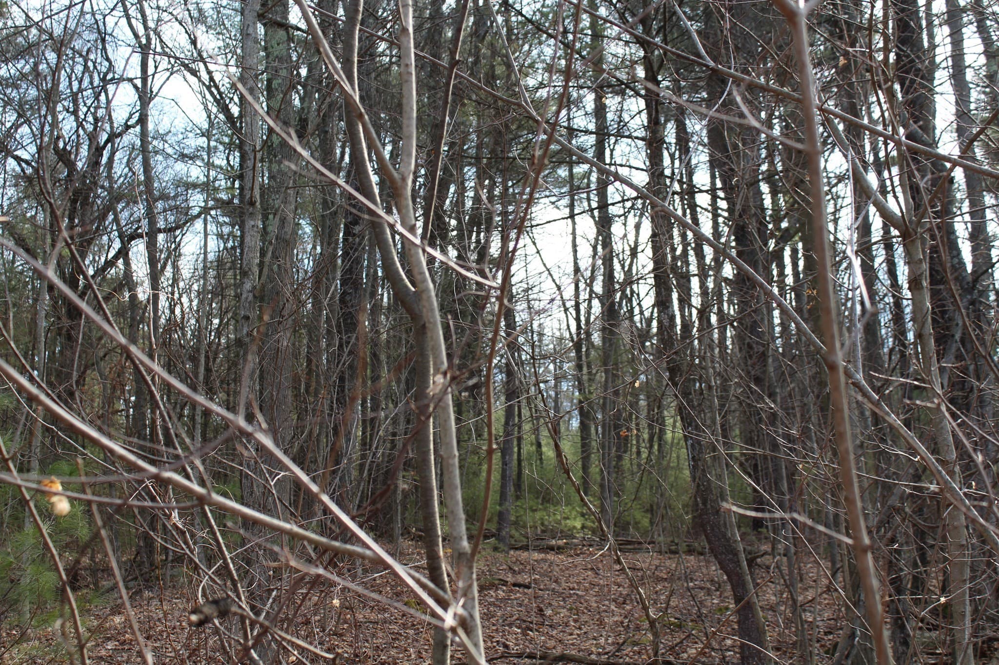 Residential at Lot 14 Center Street, Palmer MA 01069, photo 6 of 25