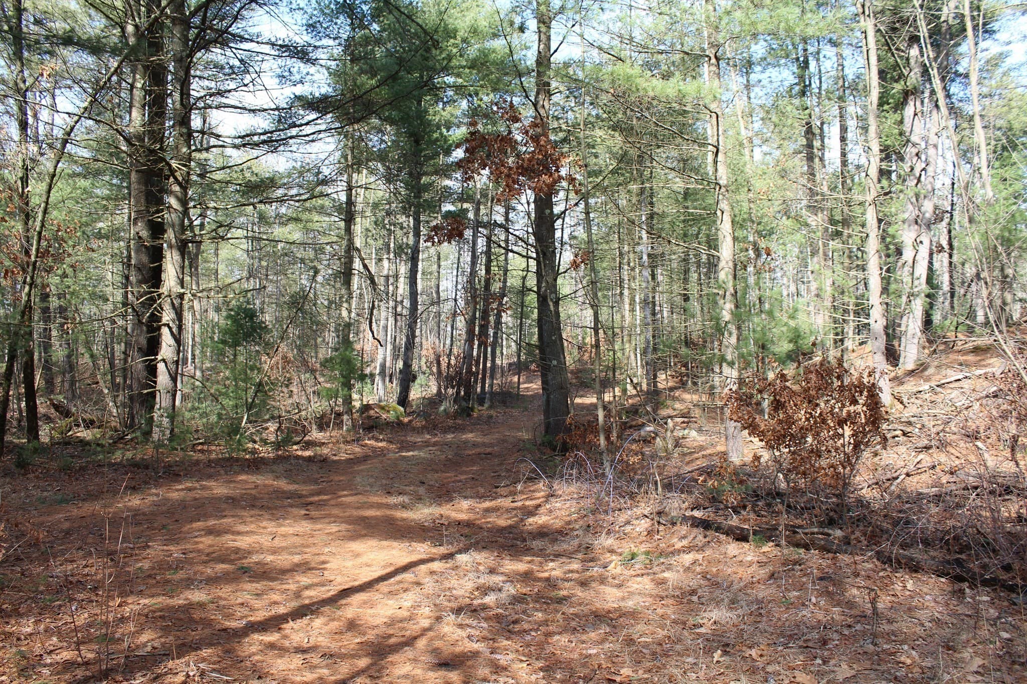 Residential at Lot 14 Center Street, Palmer MA 01069, photo 17 of 25