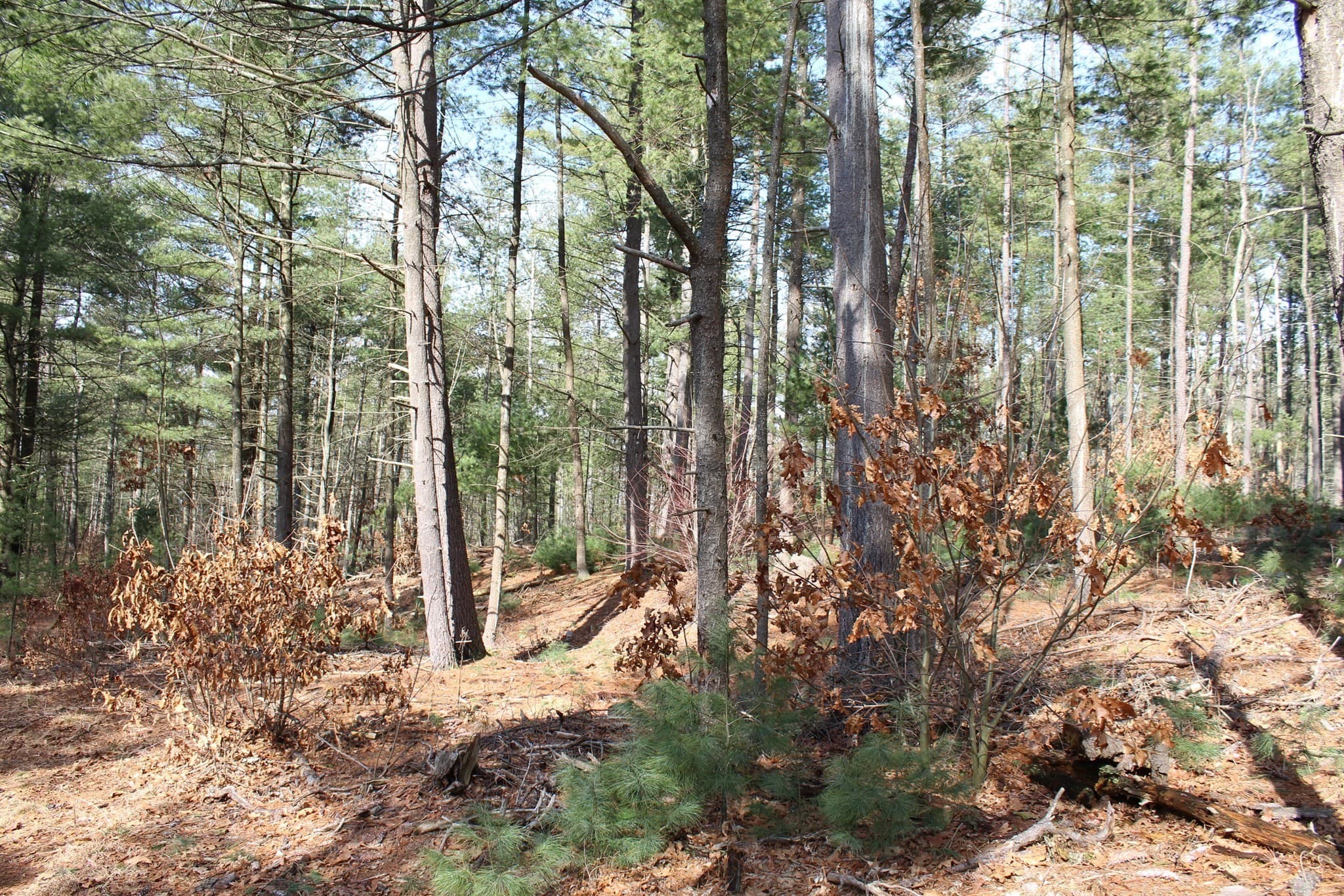 Residential at Lot 14 Center Street, Palmer MA 01069, photo 16 of 25