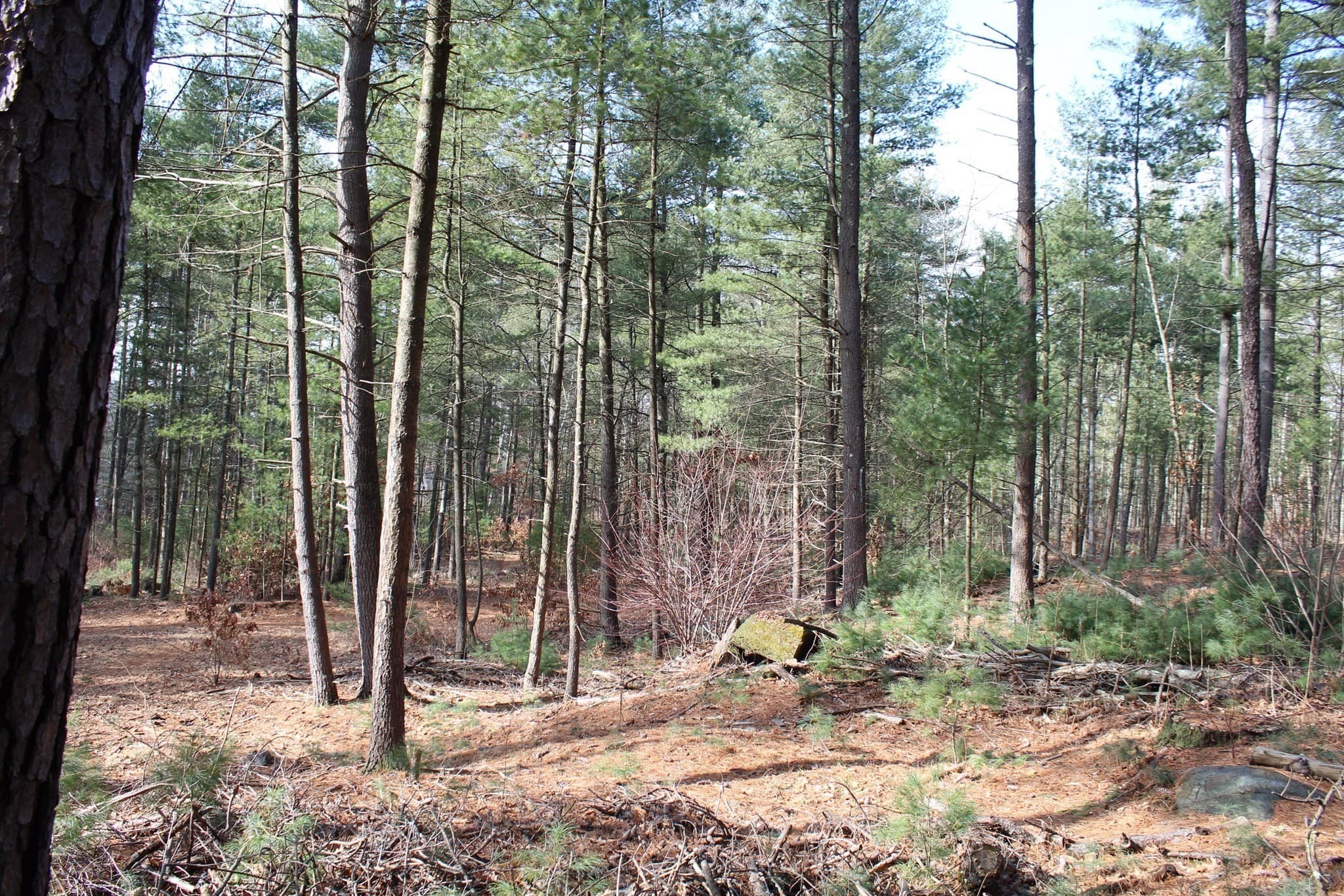 Residential at Lot 14 Center Street, Palmer MA 01069, photo 12 of 25