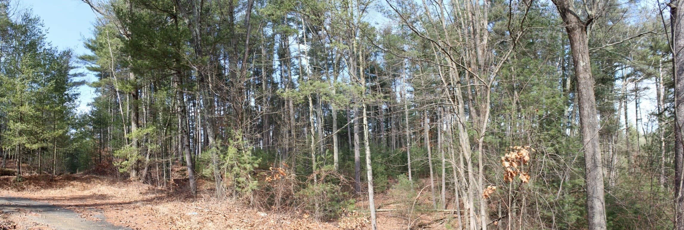 Residential at Lot 14 Center Street, Palmer MA 01069, photo 22 of 25