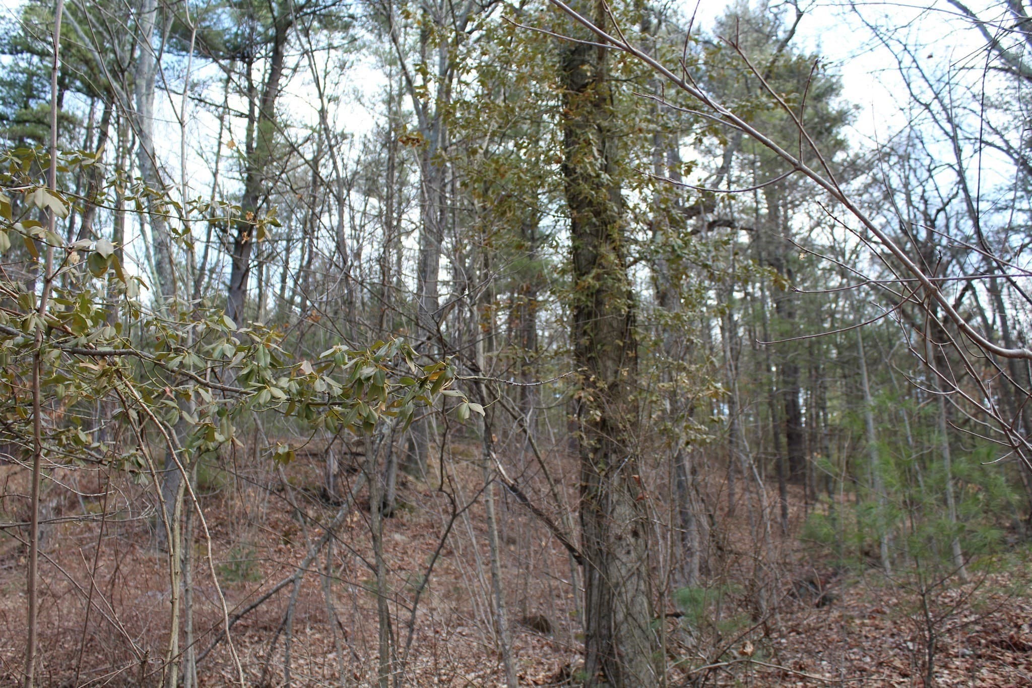 Residential at Lot 14 Center Street, Palmer MA 01069, photo 20 of 25