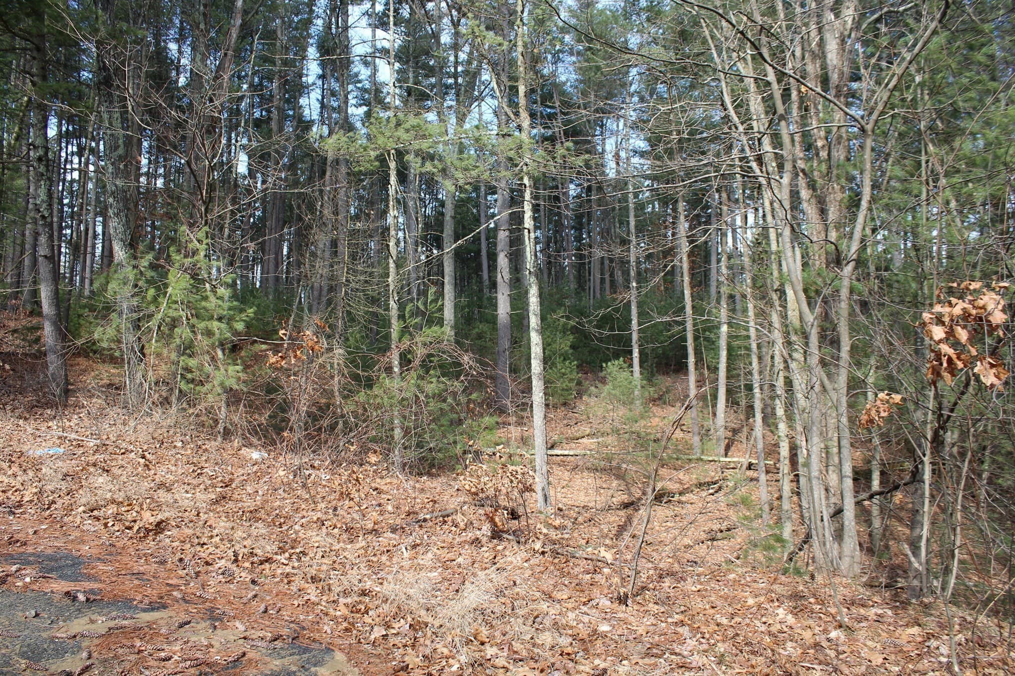 Residential at Lot 14 Center Street, Palmer MA 01069, photo 9 of 25