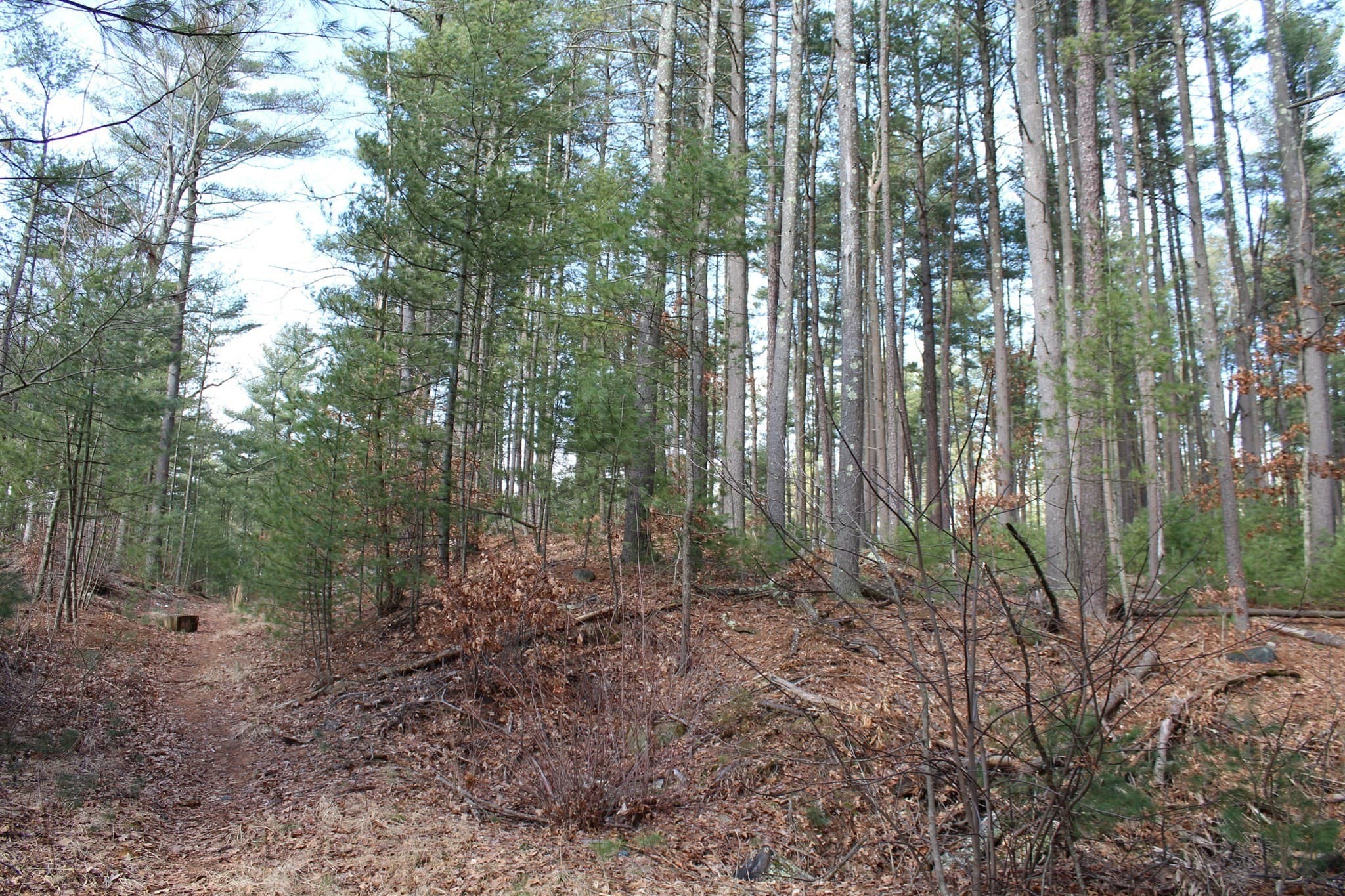 Residential at Lot 14 Center Street, Palmer MA 01069, photo 10 of 25
