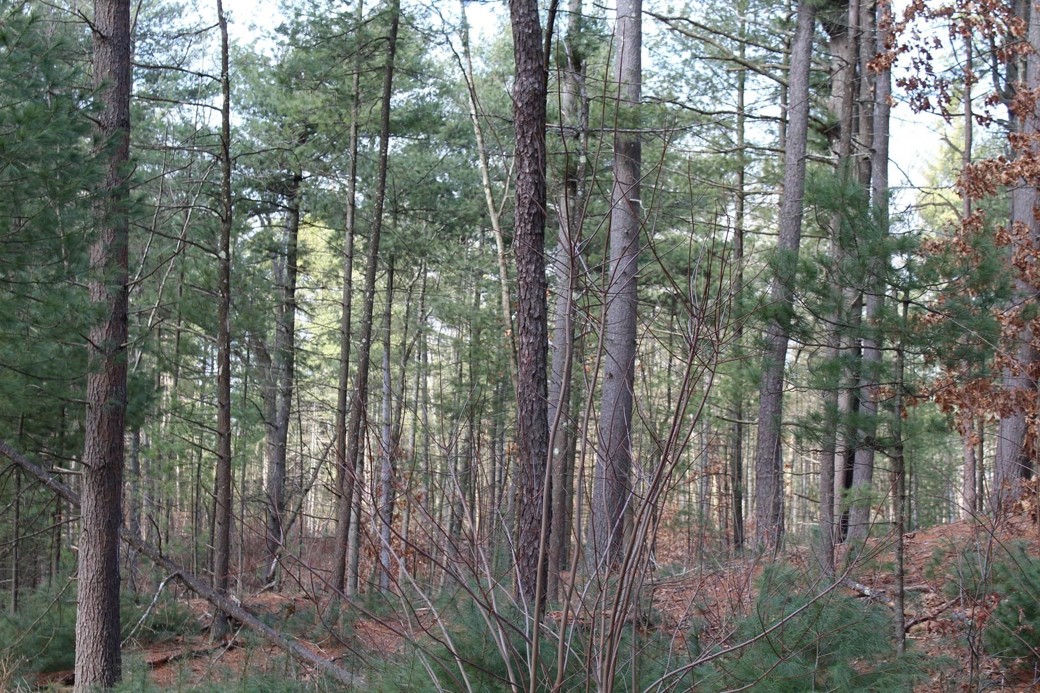 Residential at Lot 14 Center Street, Palmer MA 01069, photo 14 of 25