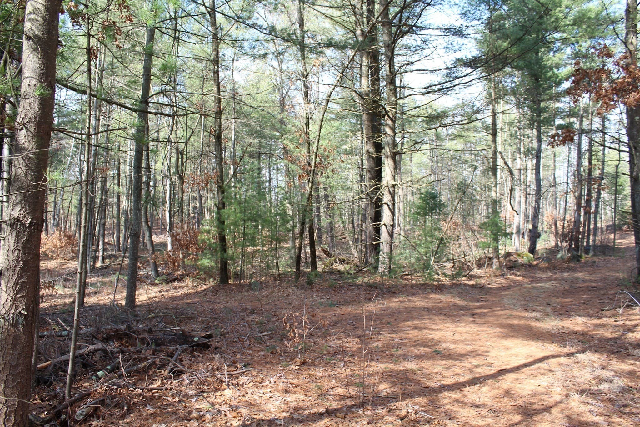 Residential at Lot 14 Center Street, Palmer MA 01069, photo 18 of 25
