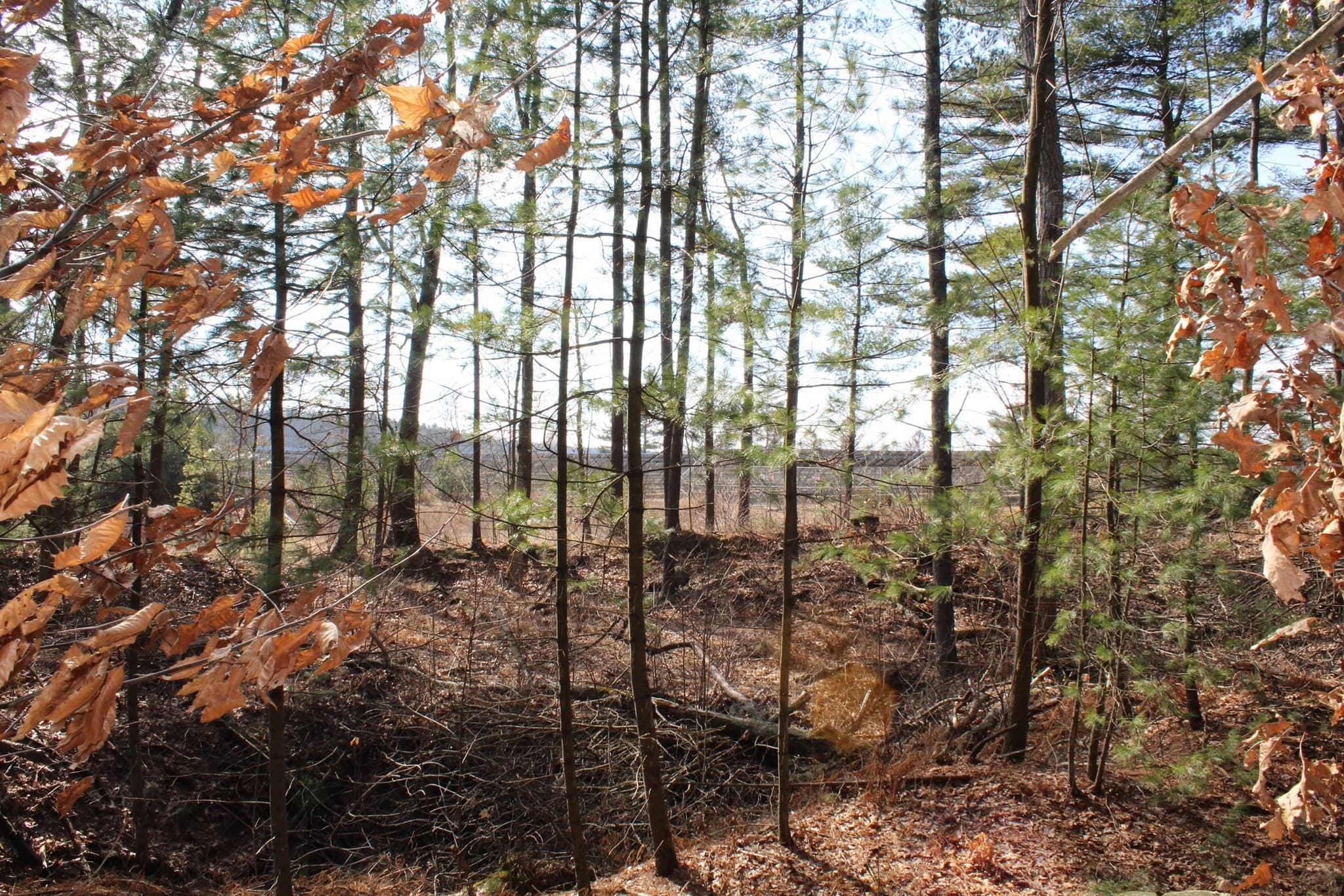Residential at Lot 14 Center Street, Palmer MA 01069, photo 15 of 25