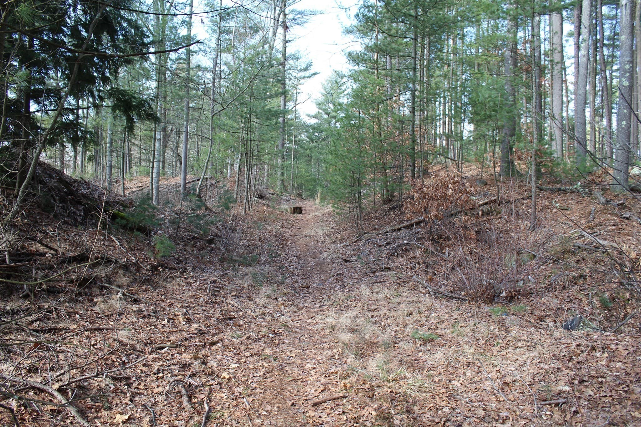 Residential at Lot 14 Center Street, Palmer MA 01069, photo 11 of 25