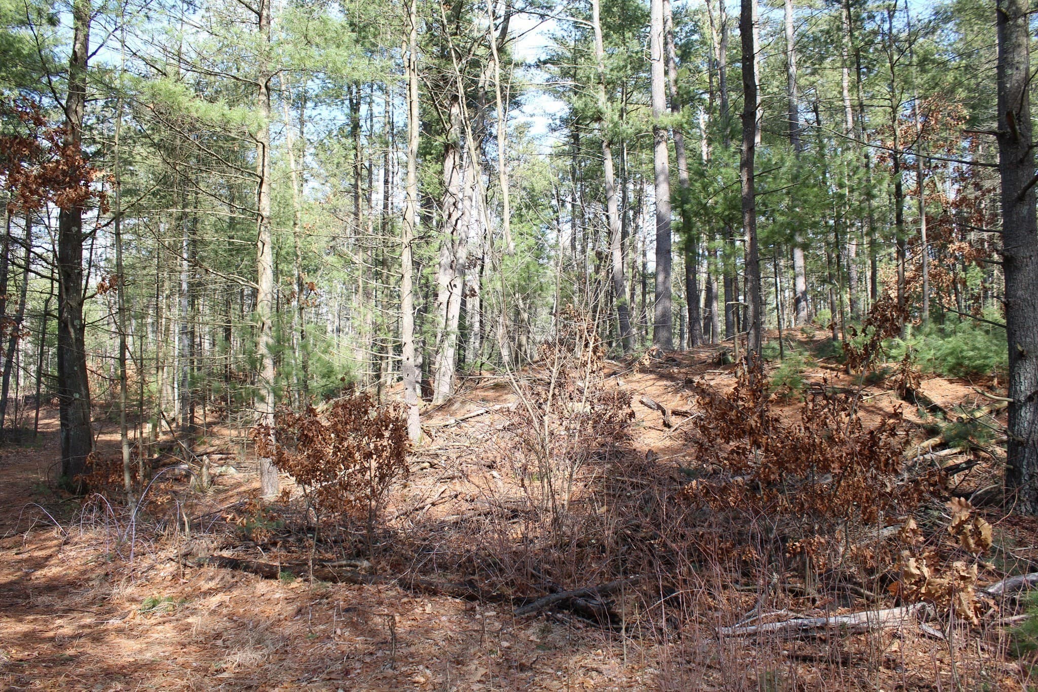 Residential at Lot 14 Center Street, Palmer MA 01069, photo 19 of 25