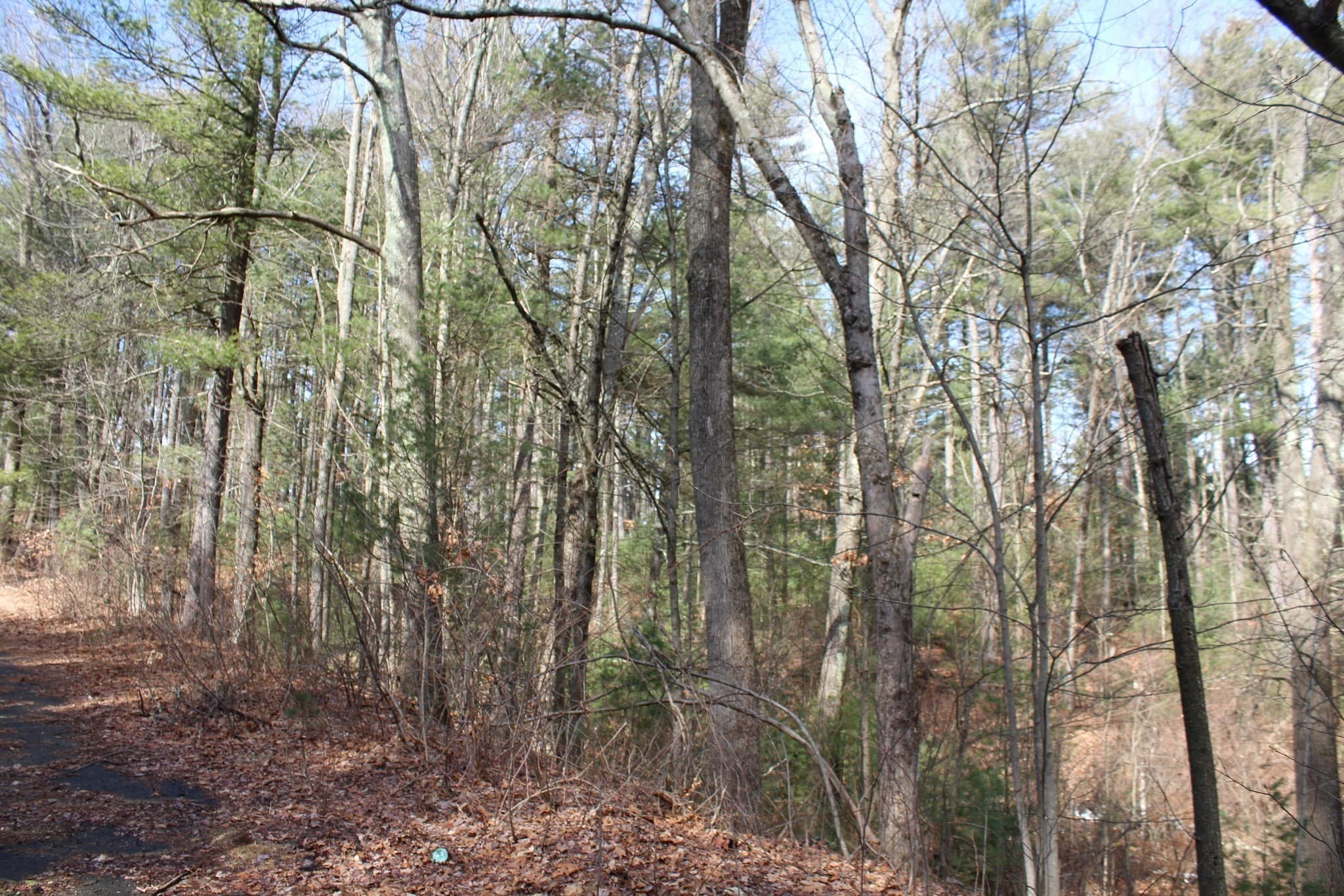 Residential at Lot 14 Center Street, Palmer MA 01069, photo 8 of 25