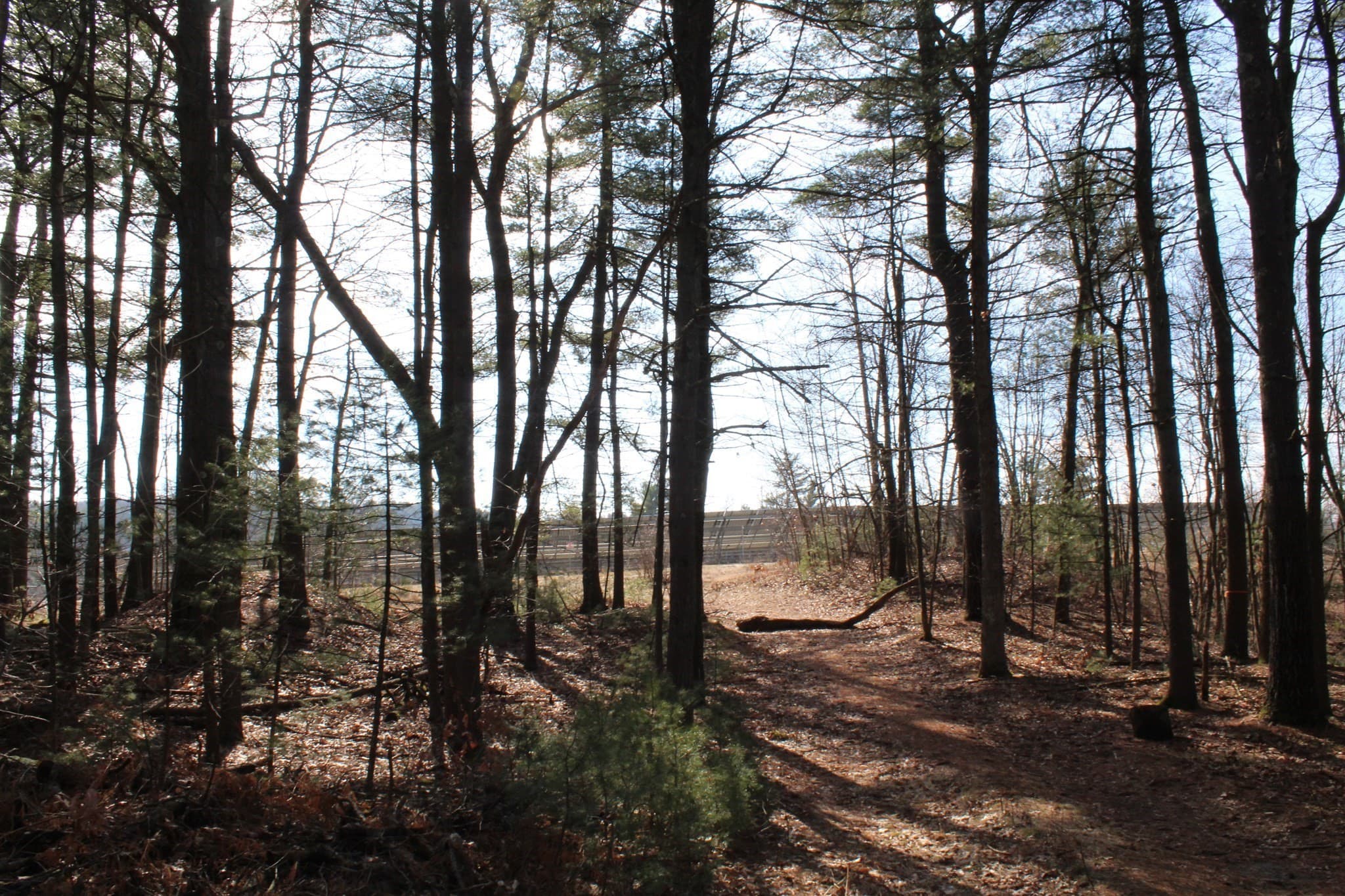 Residential at Lot 14 Center Street, Palmer MA 01069, photo 21 of 25