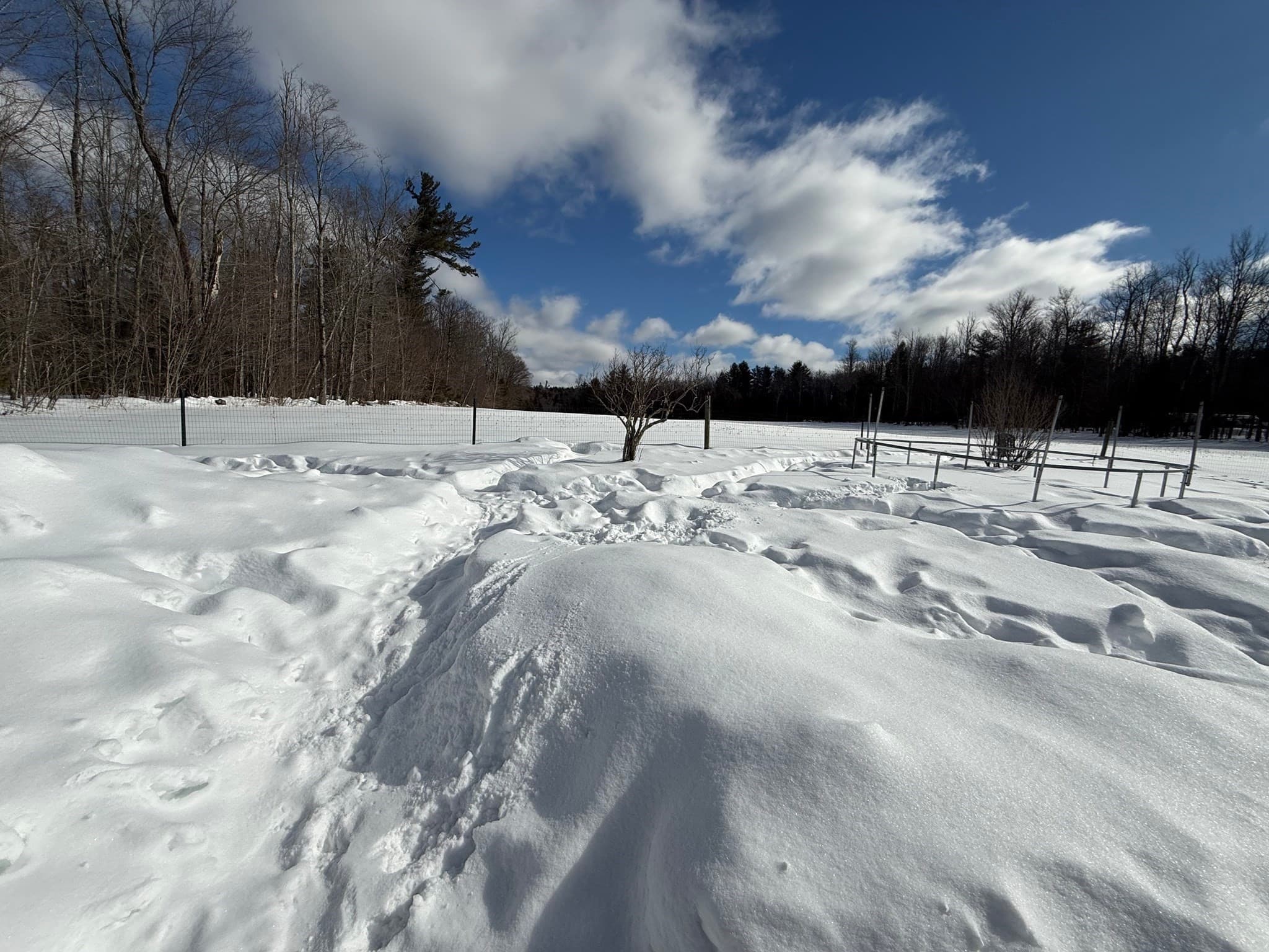 Single Family Residence at 311 Cummington Rd, Ashfield MA 01330, photo 9 of 12