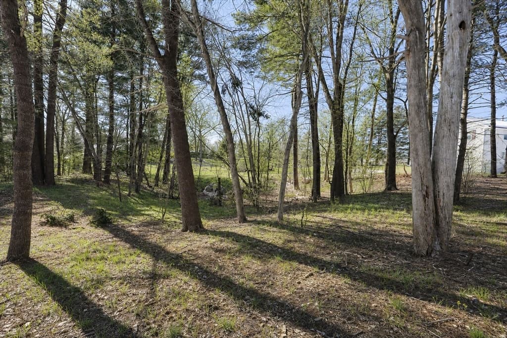14 Leonard Ln, Holbrook MA 02343 photo 37