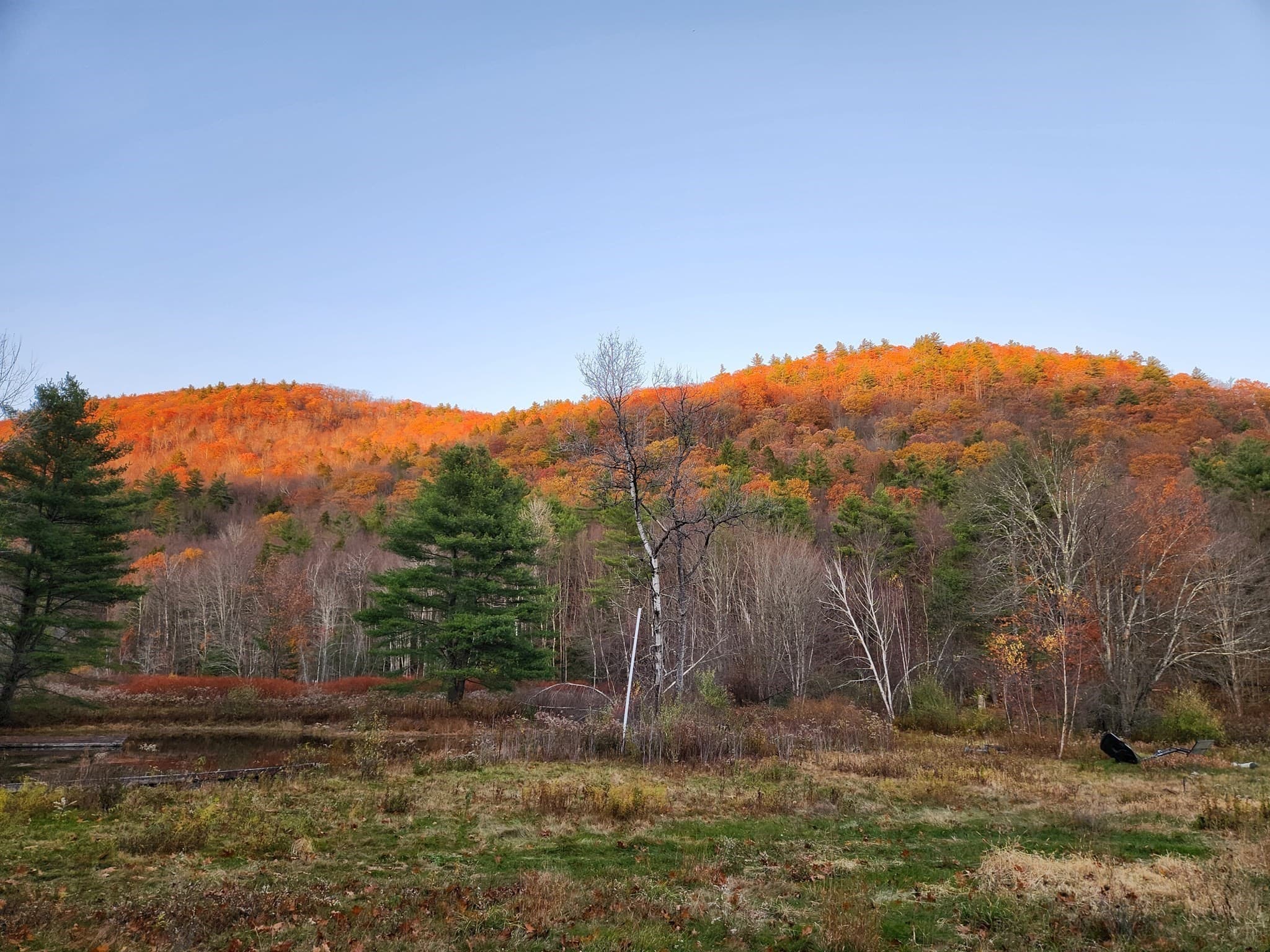 Land at 2153 Route 2, Charlemont MA 01339, photo 2 of 27