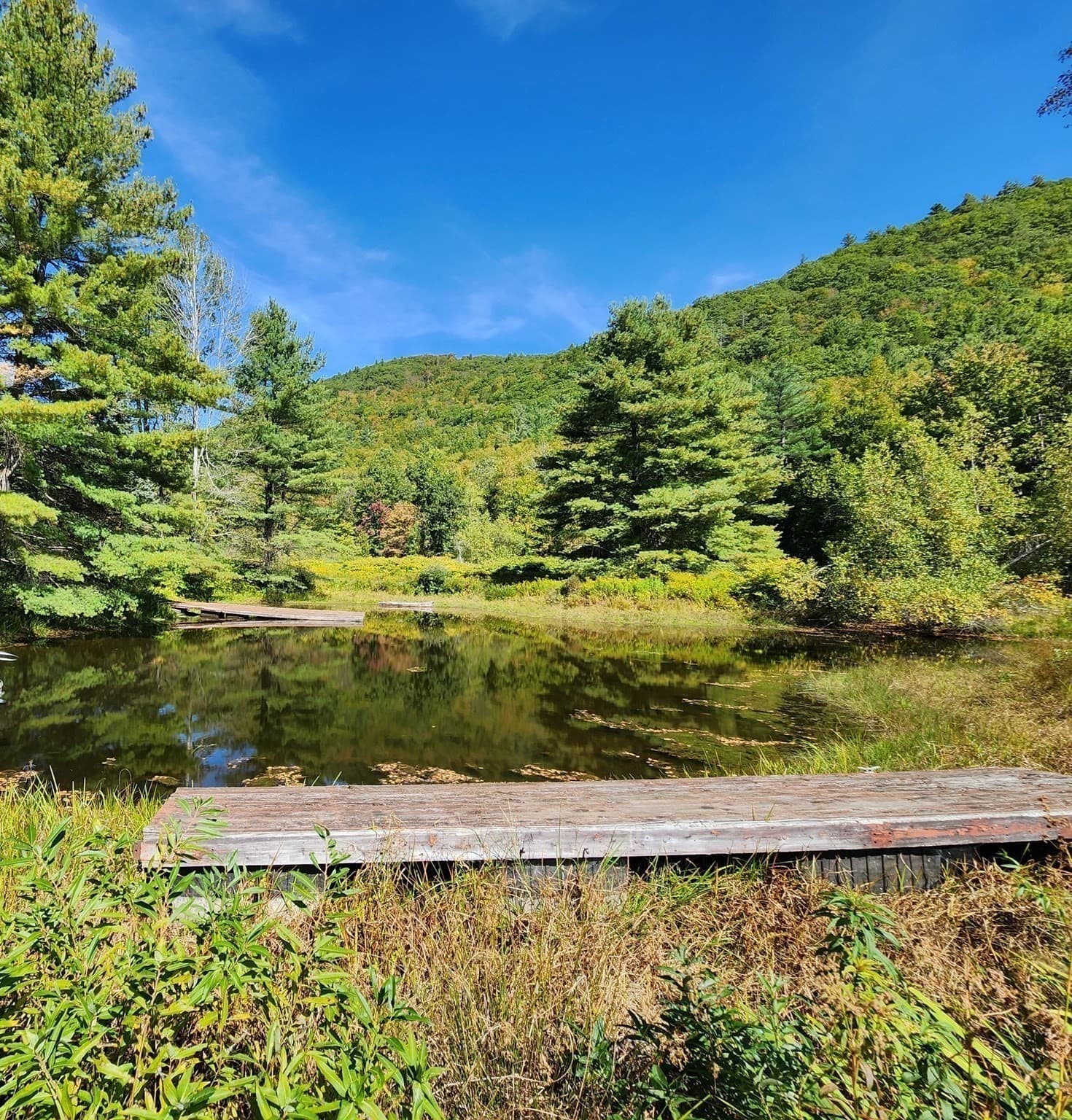 Land at 2153 Route 2, Charlemont MA 01339, photo 6 of 27