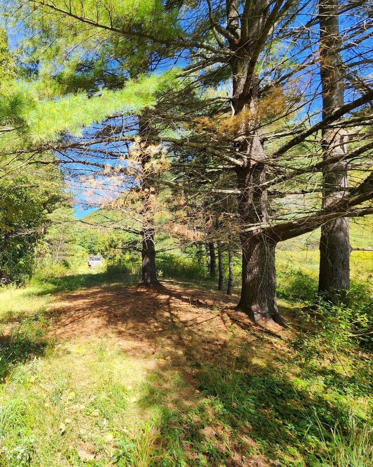 Land at 2153 Route 2, Charlemont MA 01339, photo 18 of 27