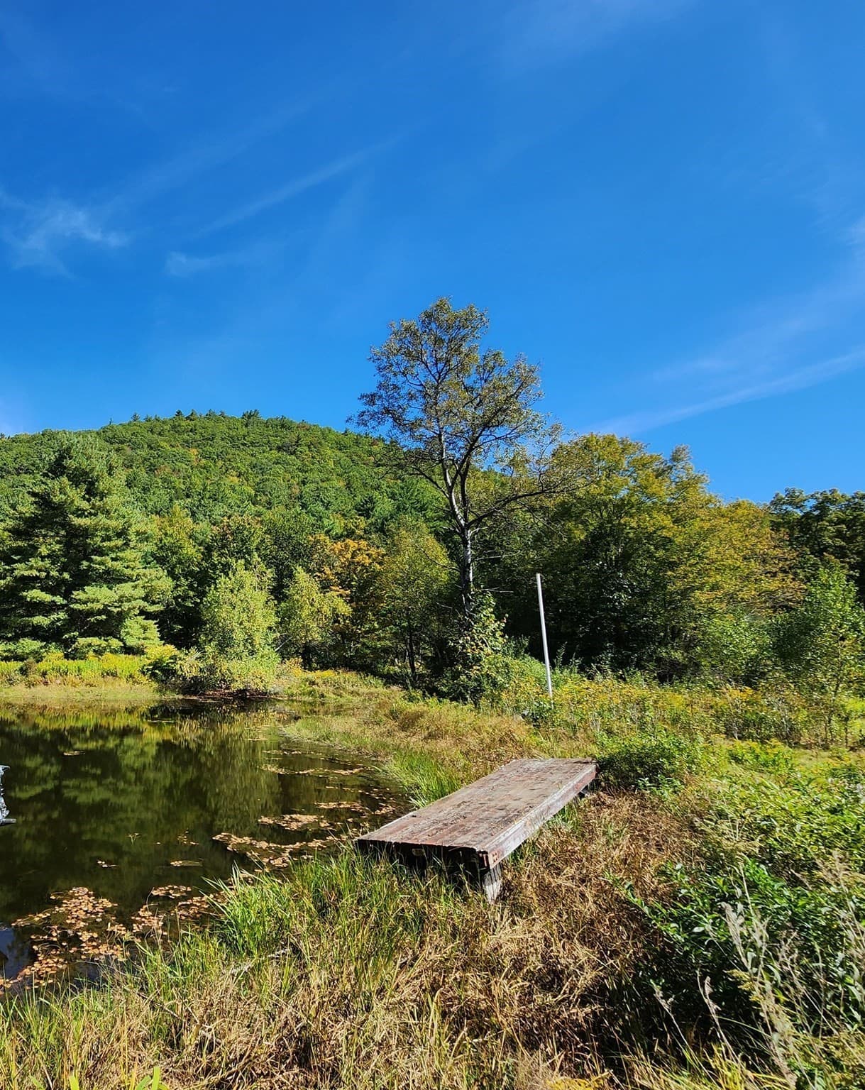 Land at 2153 Route 2, Charlemont MA 01339, photo 4 of 27