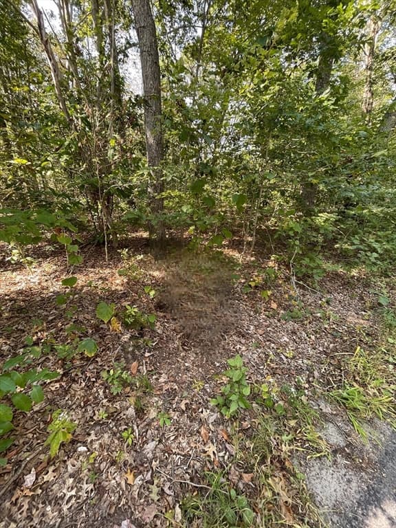 156 Rocky Hill Rd, Rehoboth MA 02769 photo 3