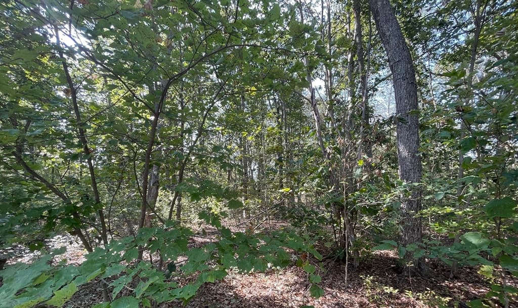 156 Rocky Hill Rd, Rehoboth MA 02769