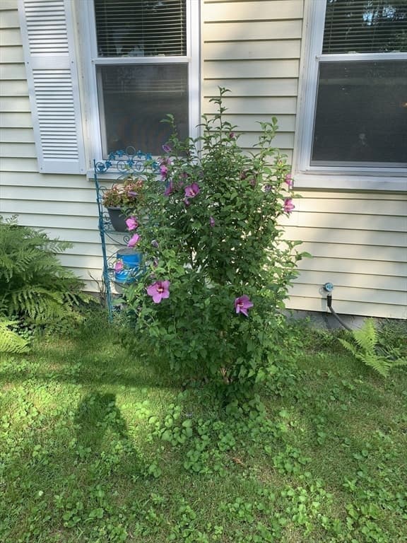 Single Family Residence at 242 Pleasant Street, Leominster MA 01453, photo 30 of 33