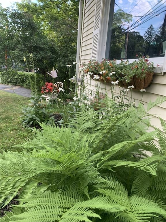 Single Family Residence at 242 Pleasant Street, Leominster MA 01453, photo 33 of 33