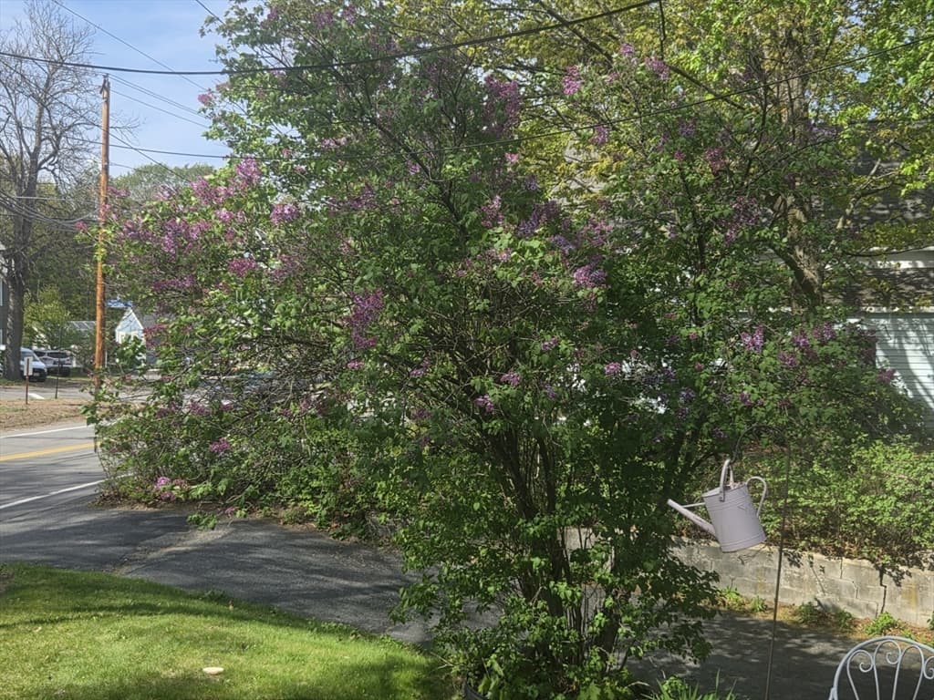 Single Family Residence at 242 Pleasant Street, Leominster MA 01453, photo 4 of 33