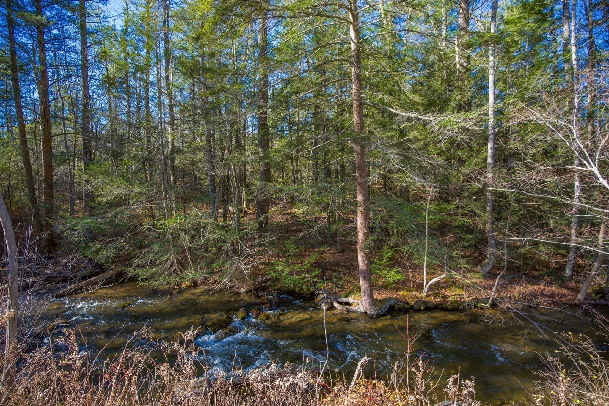 Residential at 0 Goose Pond Road, Tyringham MA 01264, photo 6 of 12