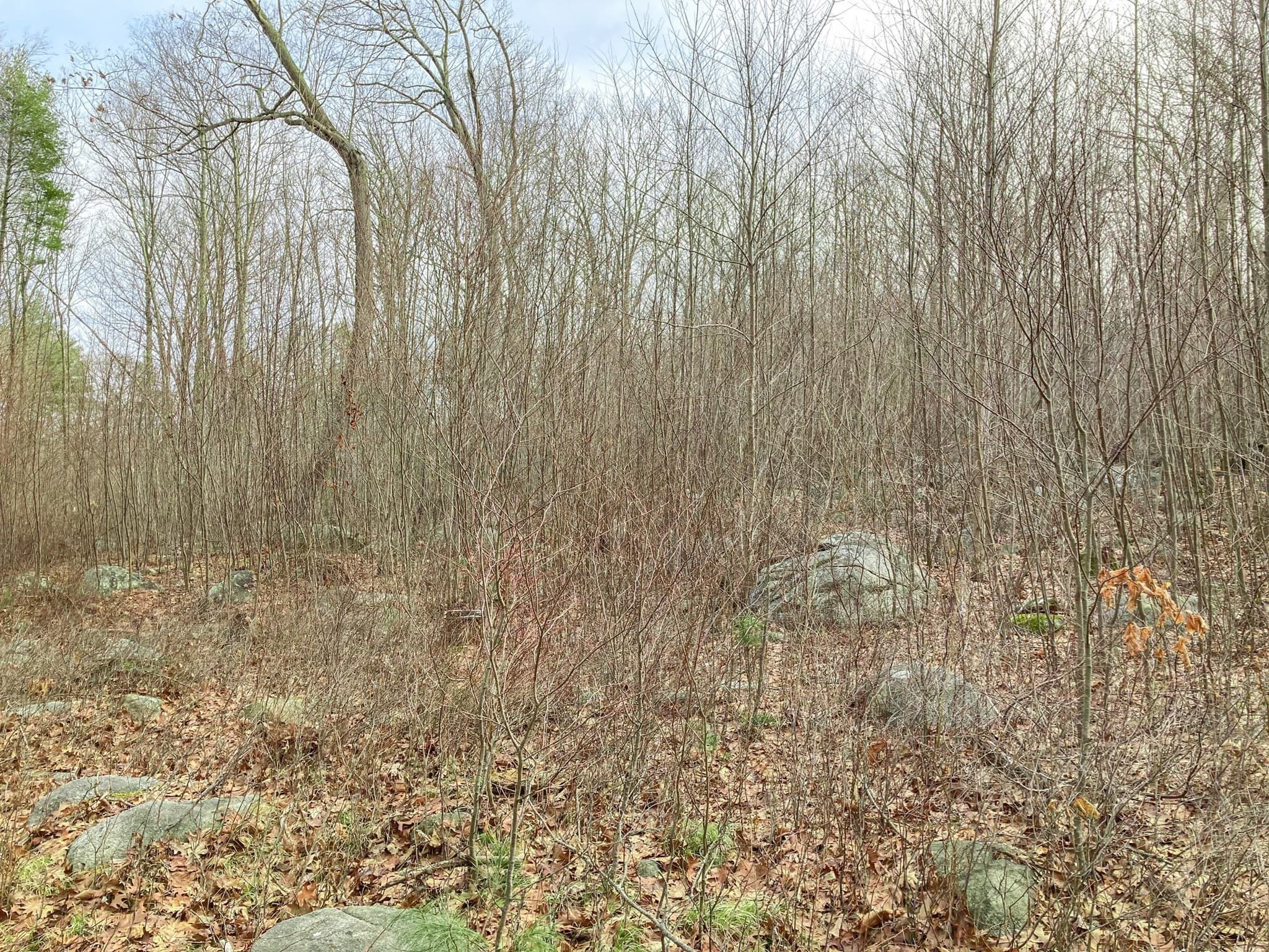 Residential at 183 Blackstone St, Mendon MA 01756, photo 9 of 9