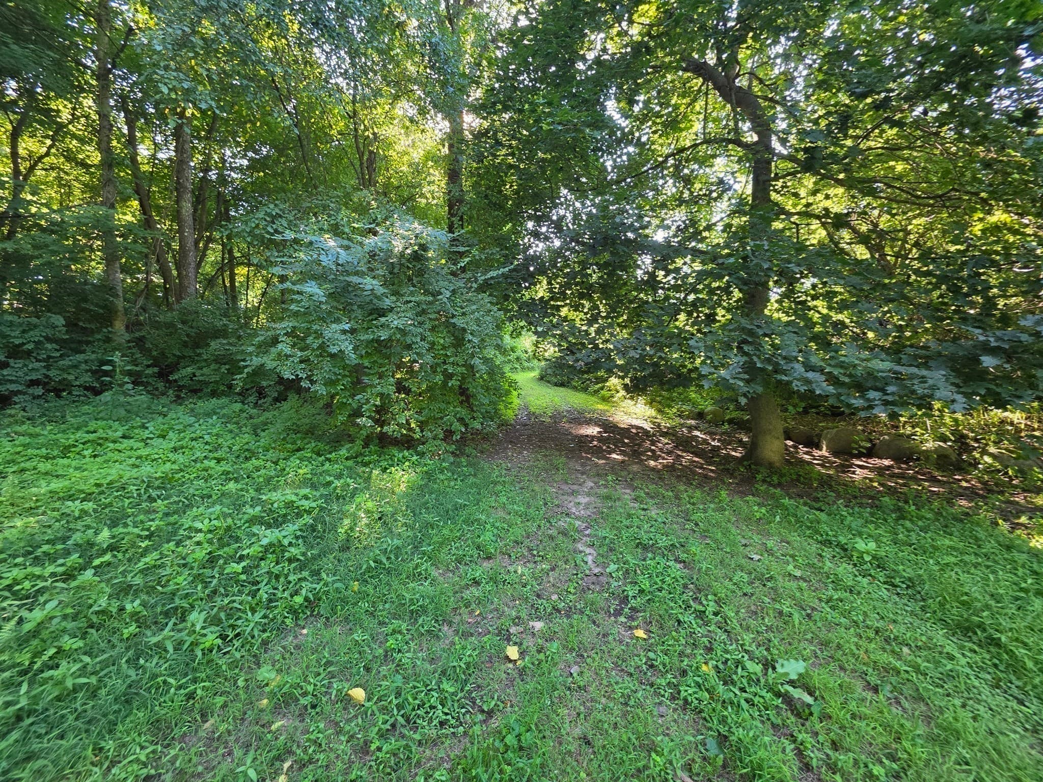 Residential at 70 Summer Street, Palmer MA 01079, photo 6 of 38