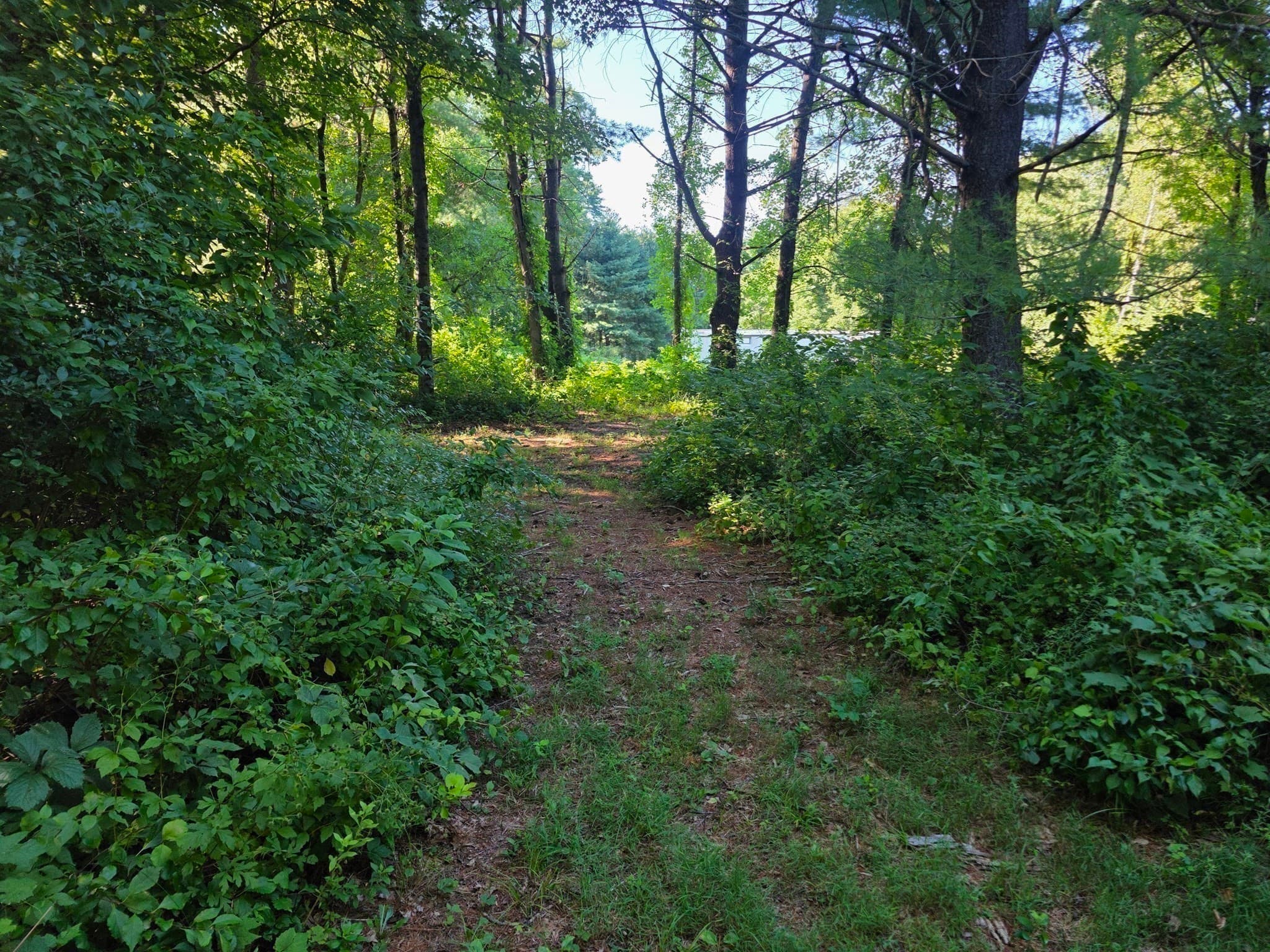 Residential at 70 Summer Street, Palmer MA 01079, photo 13 of 38