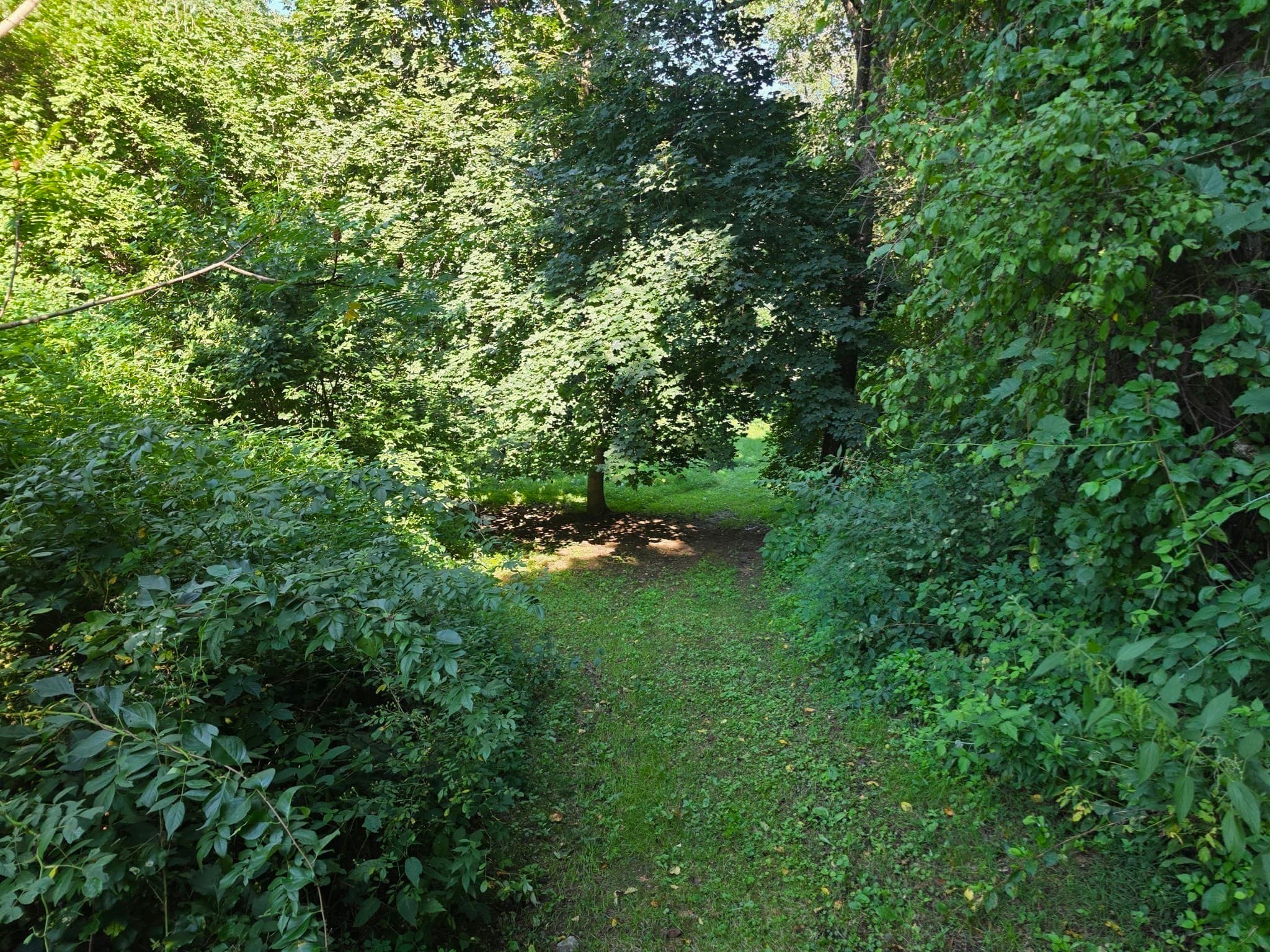 Residential at 70 Summer Street, Palmer MA 01079, photo 12 of 38
