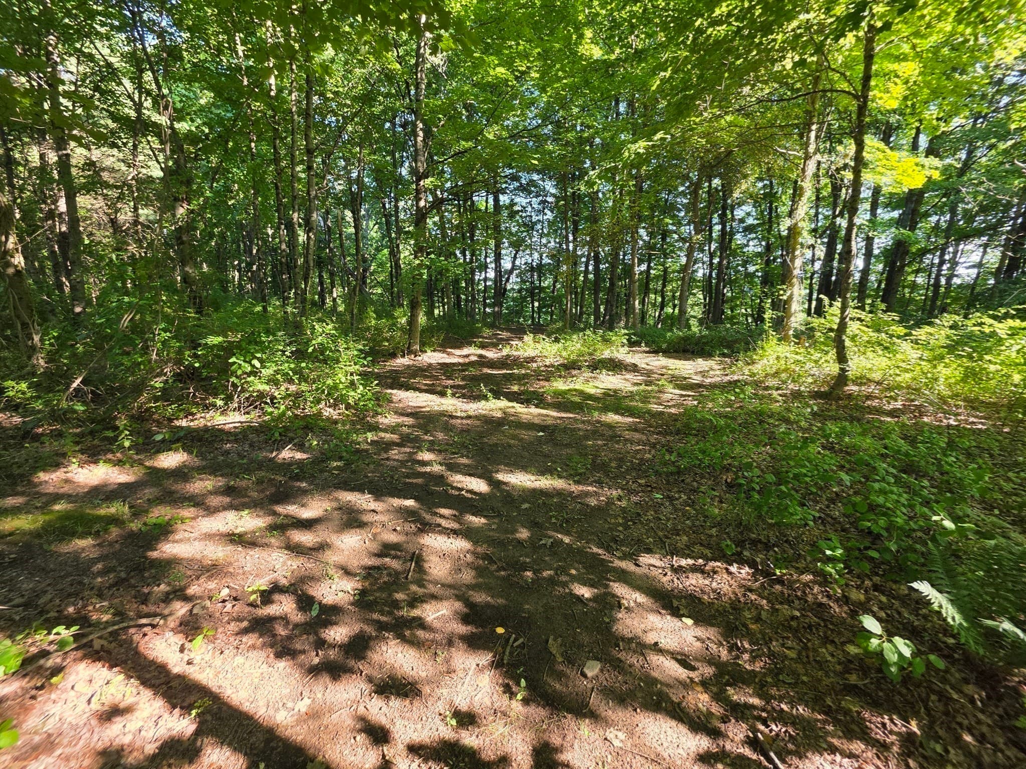 Residential at 70 Summer Street, Palmer MA 01079, photo 28 of 38