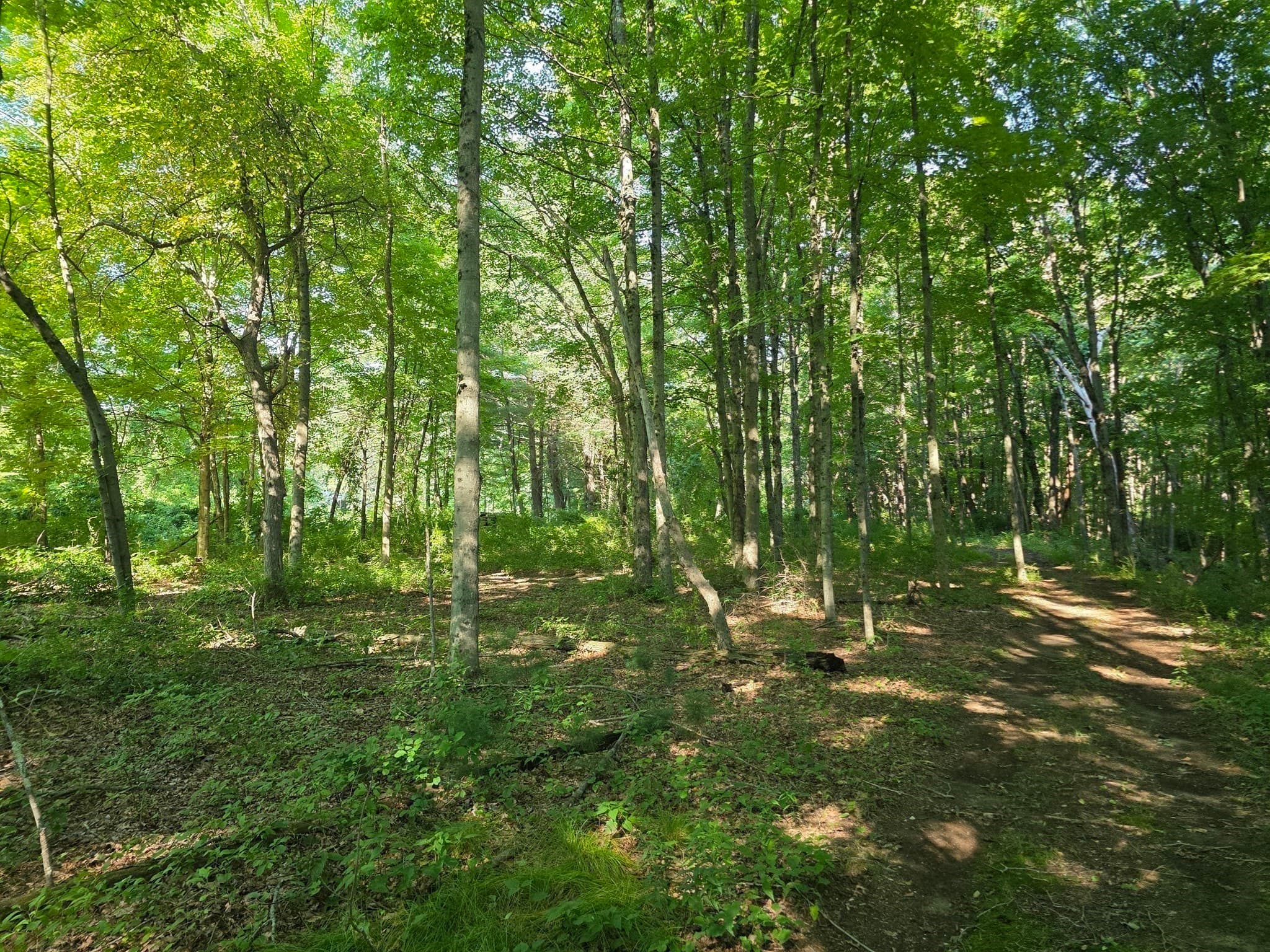 Residential at 70 Summer Street, Palmer MA 01079, photo 18 of 38