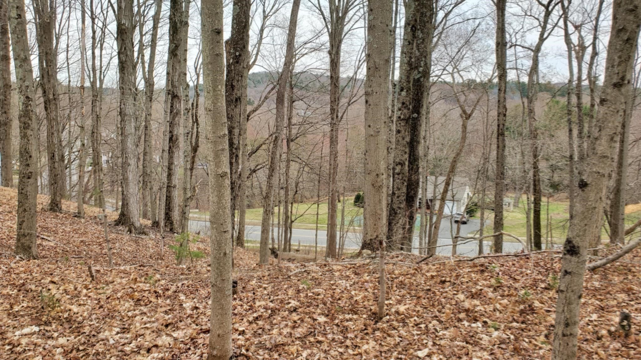 Residential at 70 Summer Street, Palmer MA 01079, photo 37 of 38