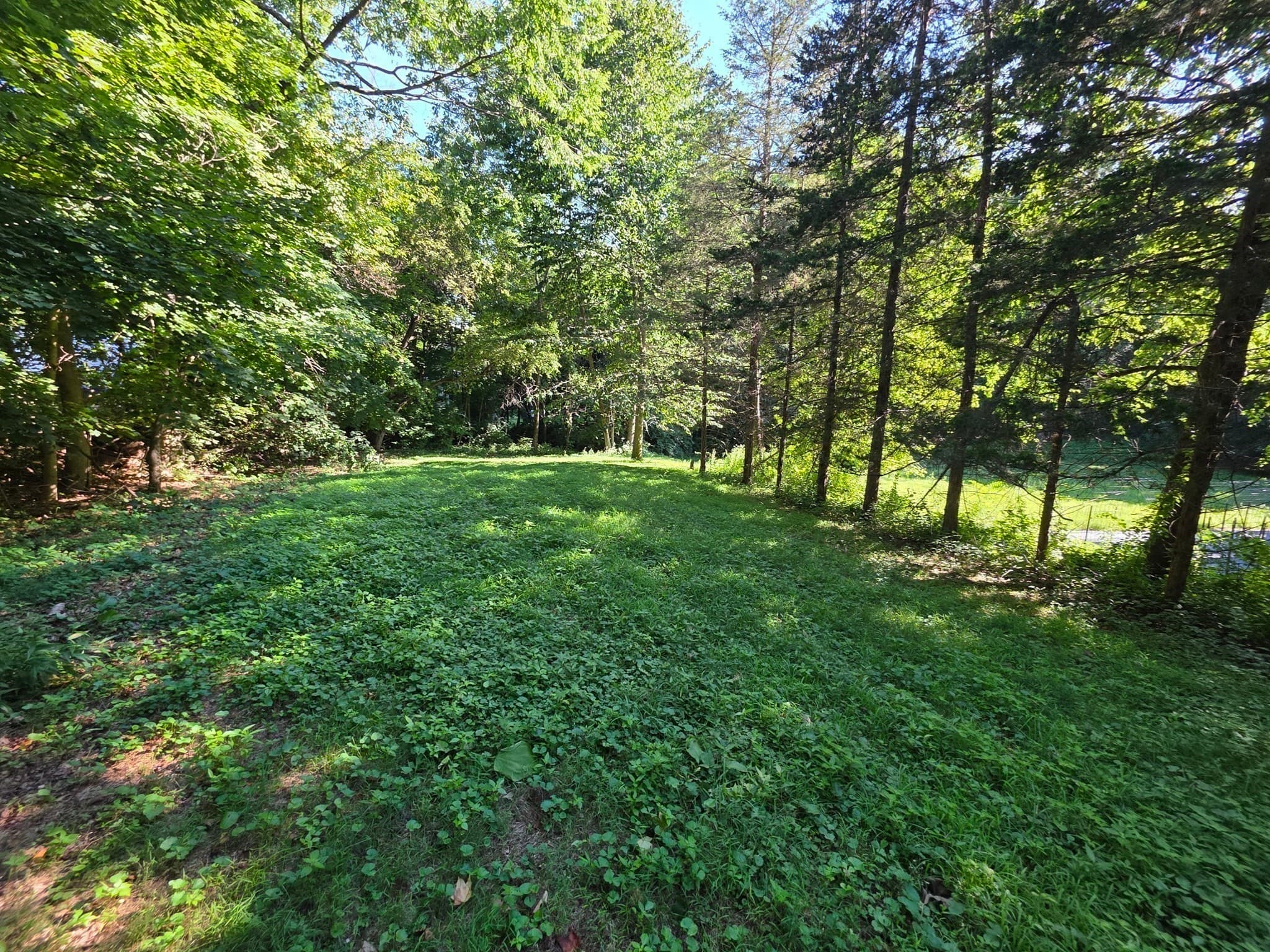 Residential at 70 Summer Street, Palmer MA 01079, photo 4 of 38