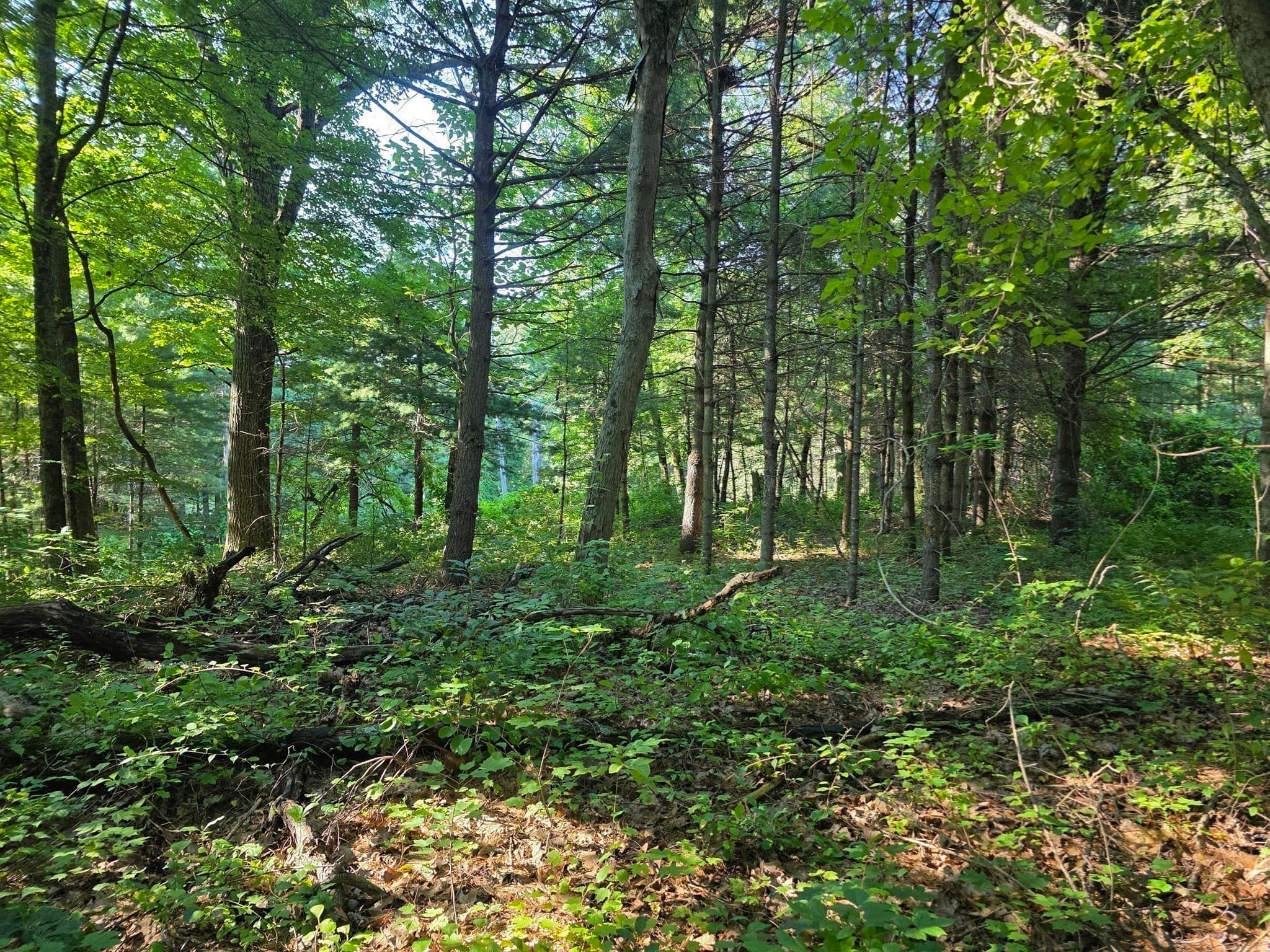 Residential at 70 Summer Street, Palmer MA 01079, photo 21 of 38