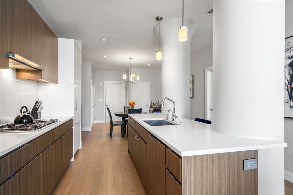 Condominium at 100 Shawmut Ave # 302, Boston MA 02118, photo 3 of 37