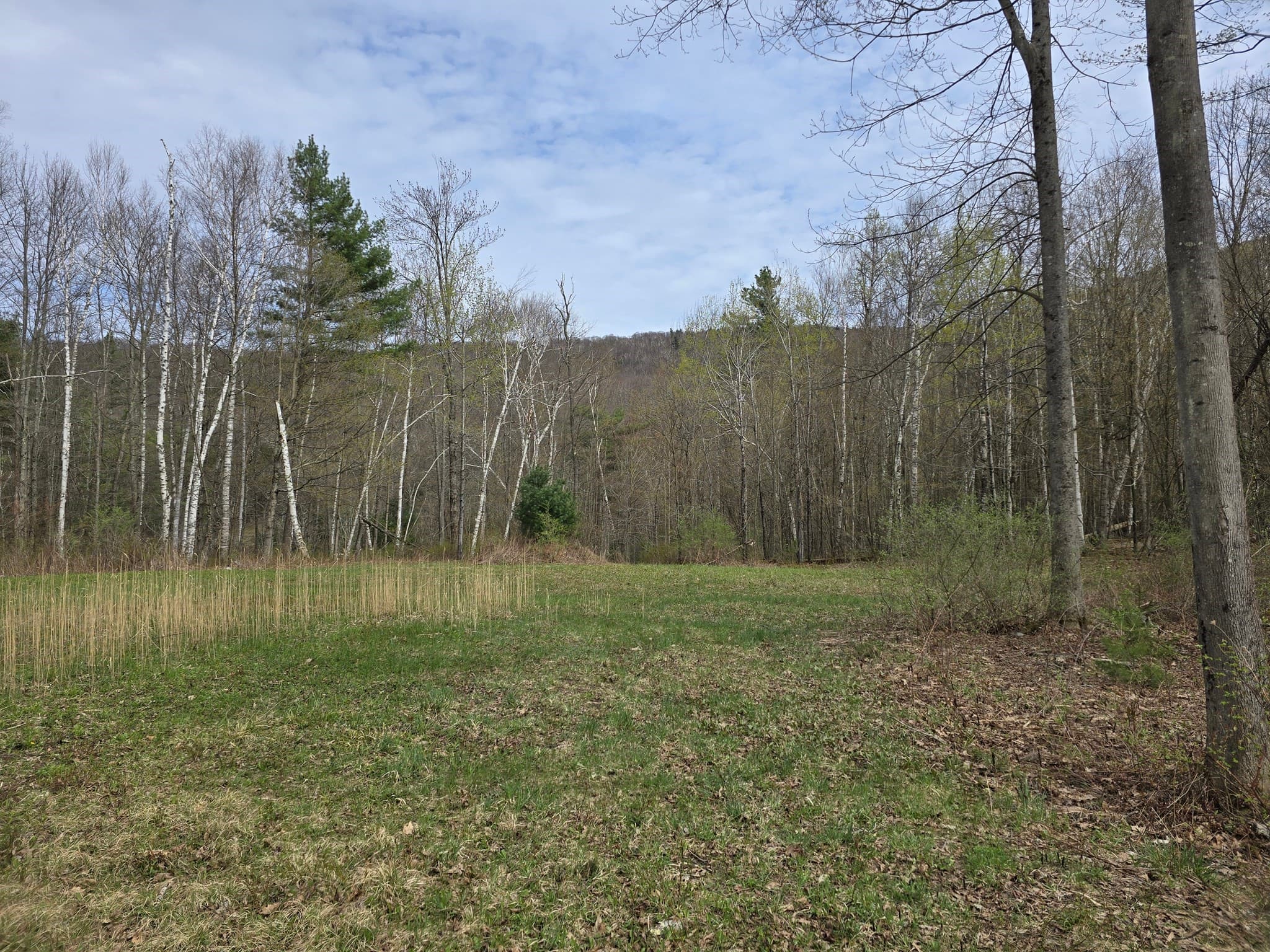 Residential at 0 Reservoir Rd., North Adams MA 01247, photo 7 of 13